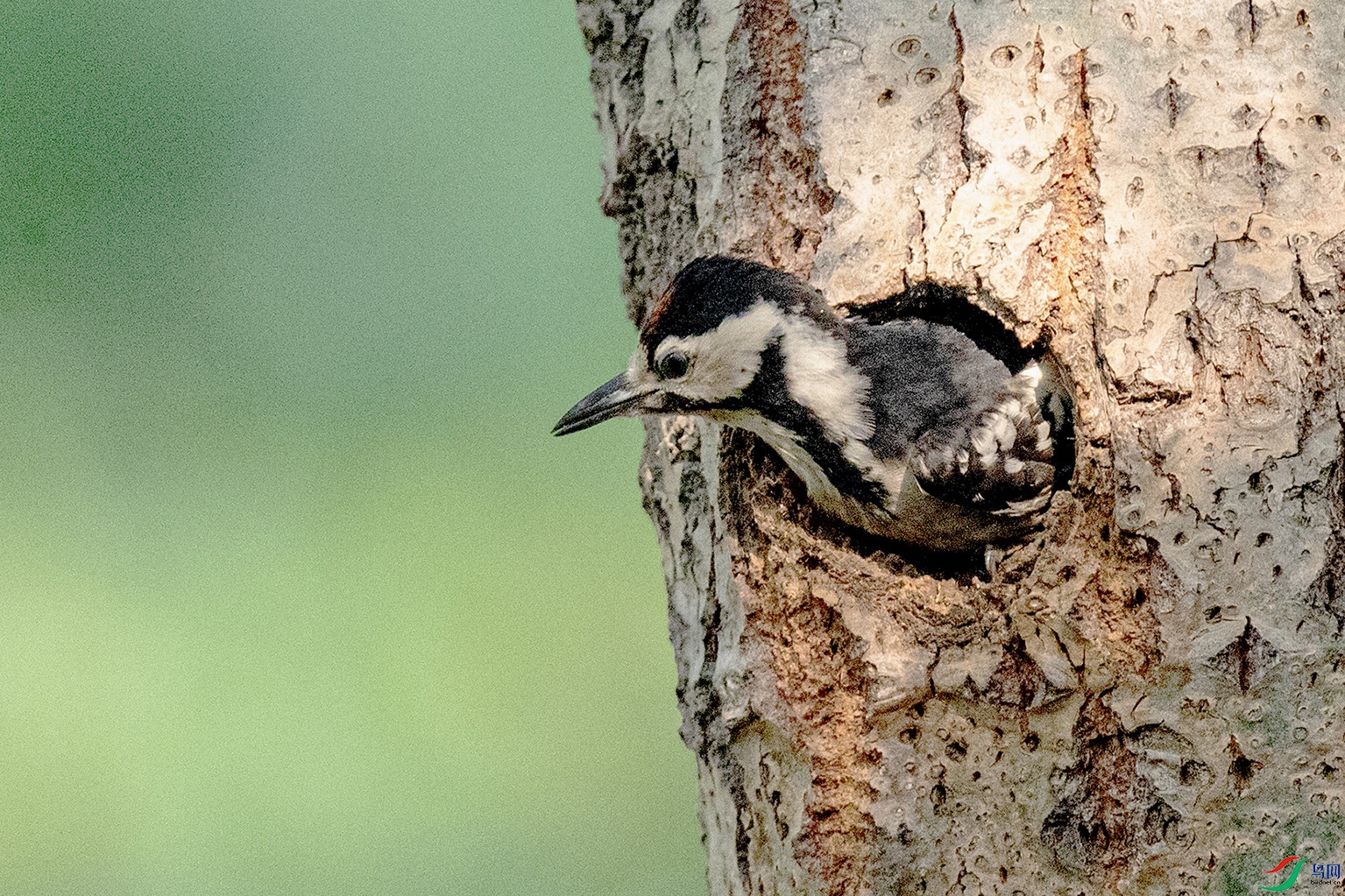 _90I8750 ���� 2.jpg