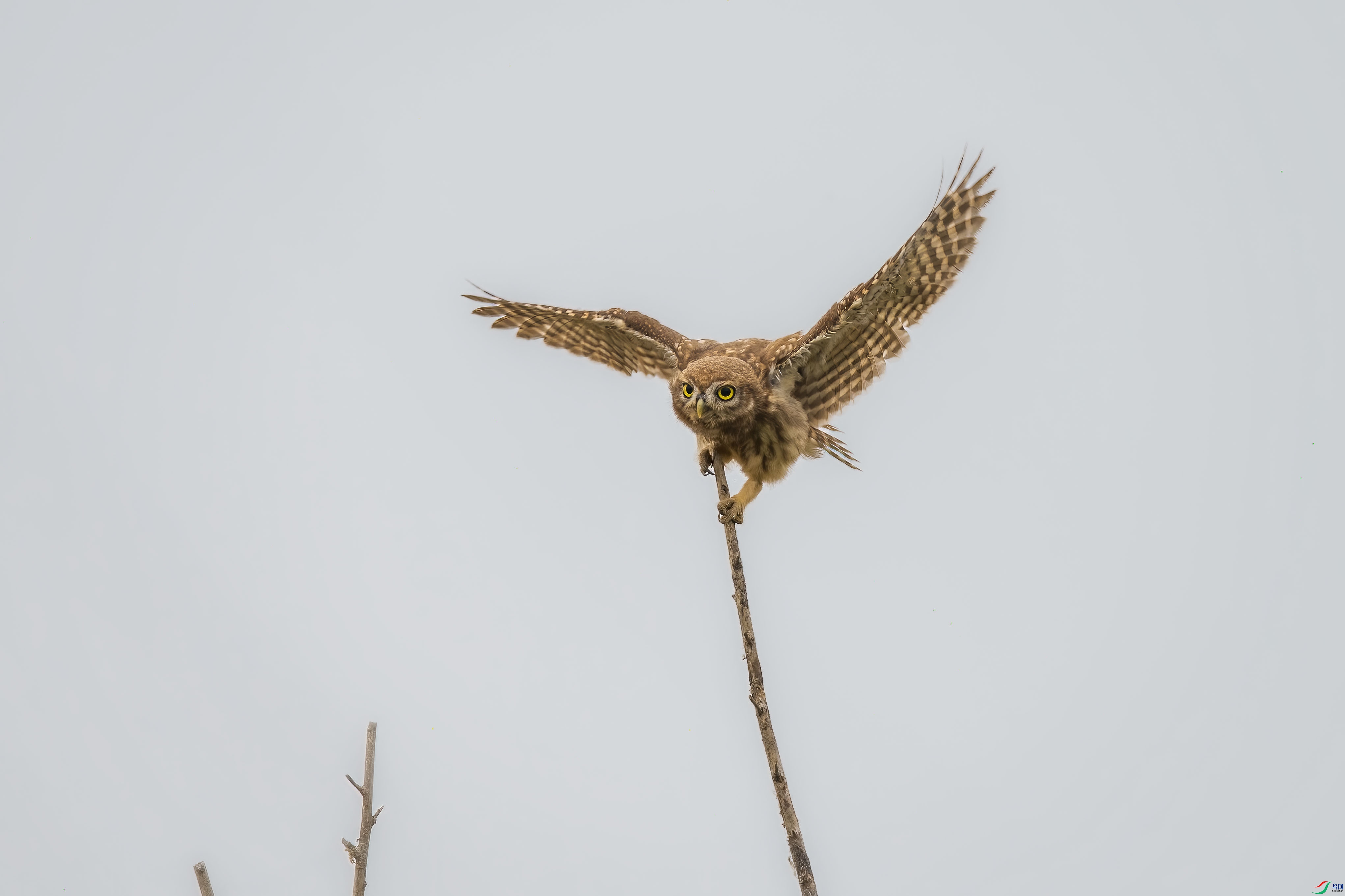 DSC_2014 ����.jpg