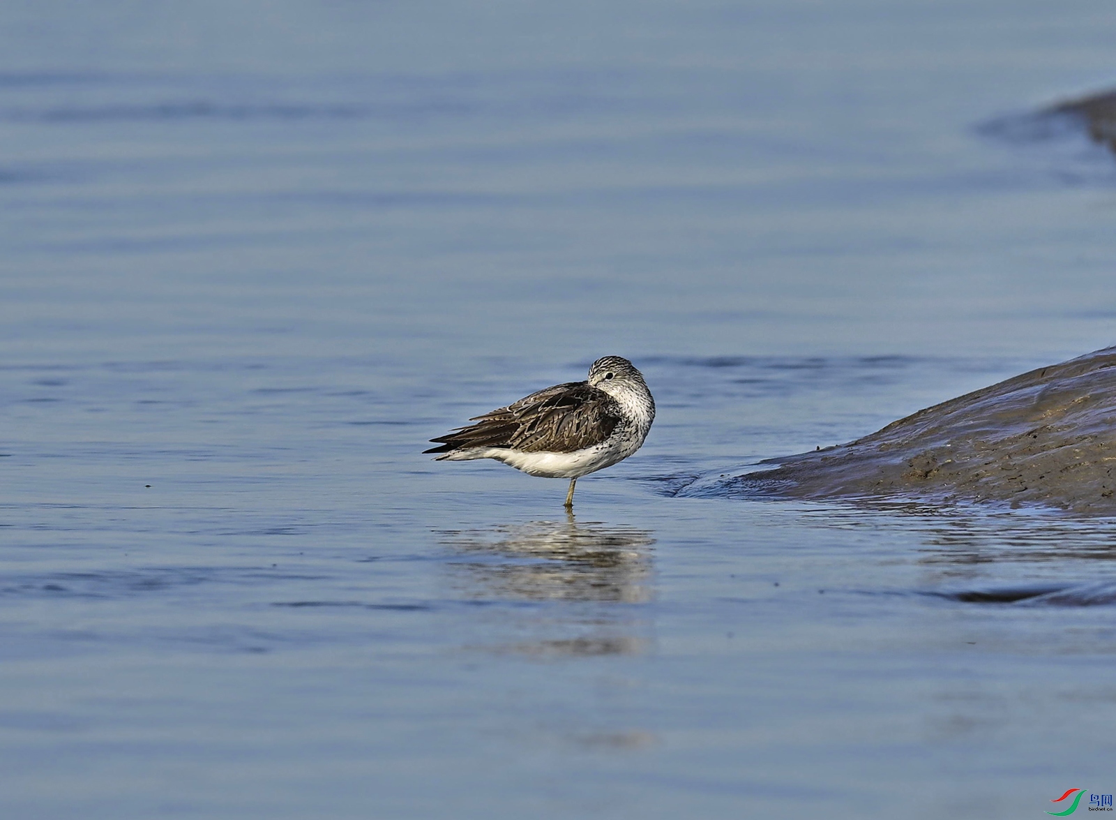 _DSC2092f.jpg