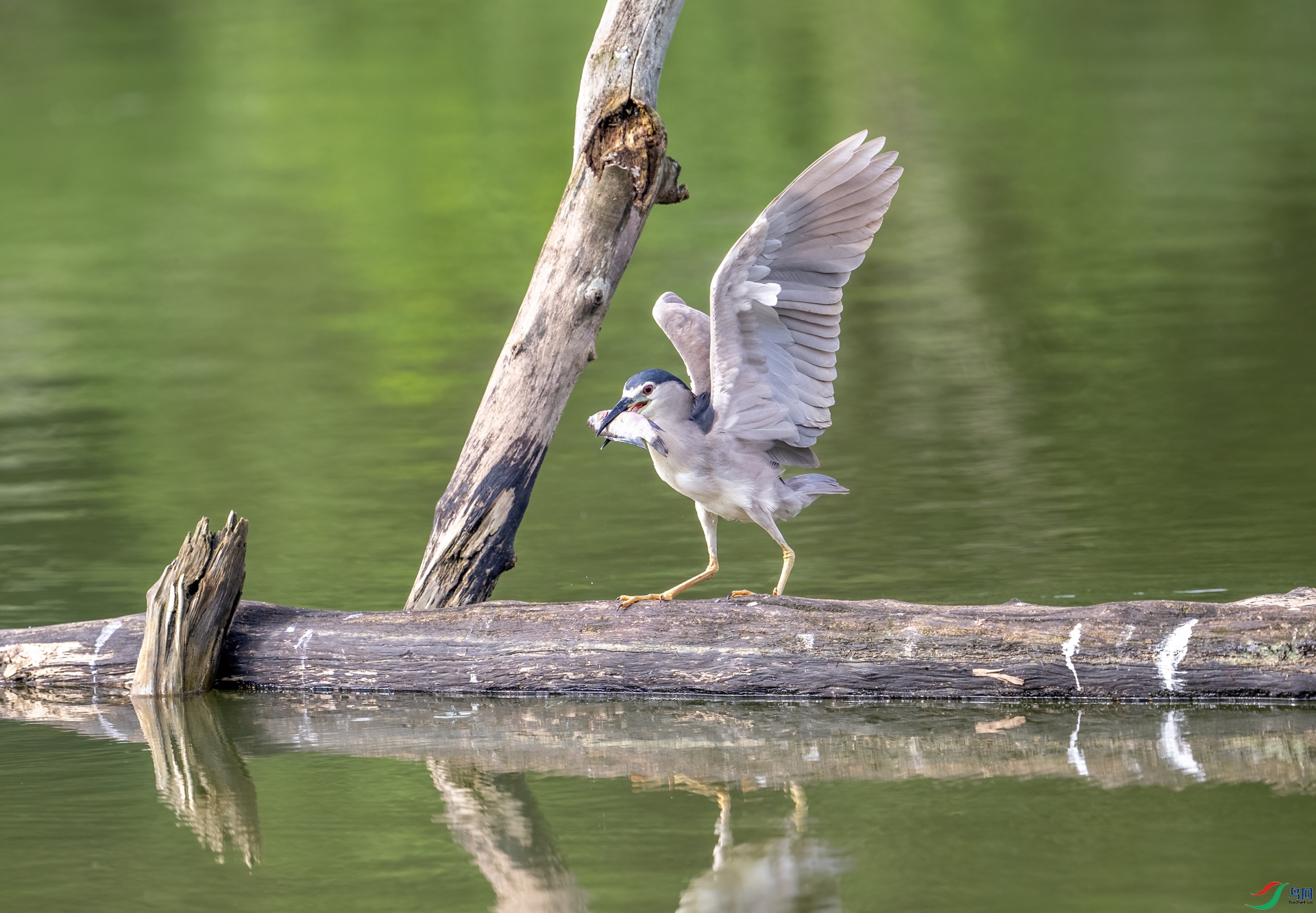 DSC_1164-1.jpg