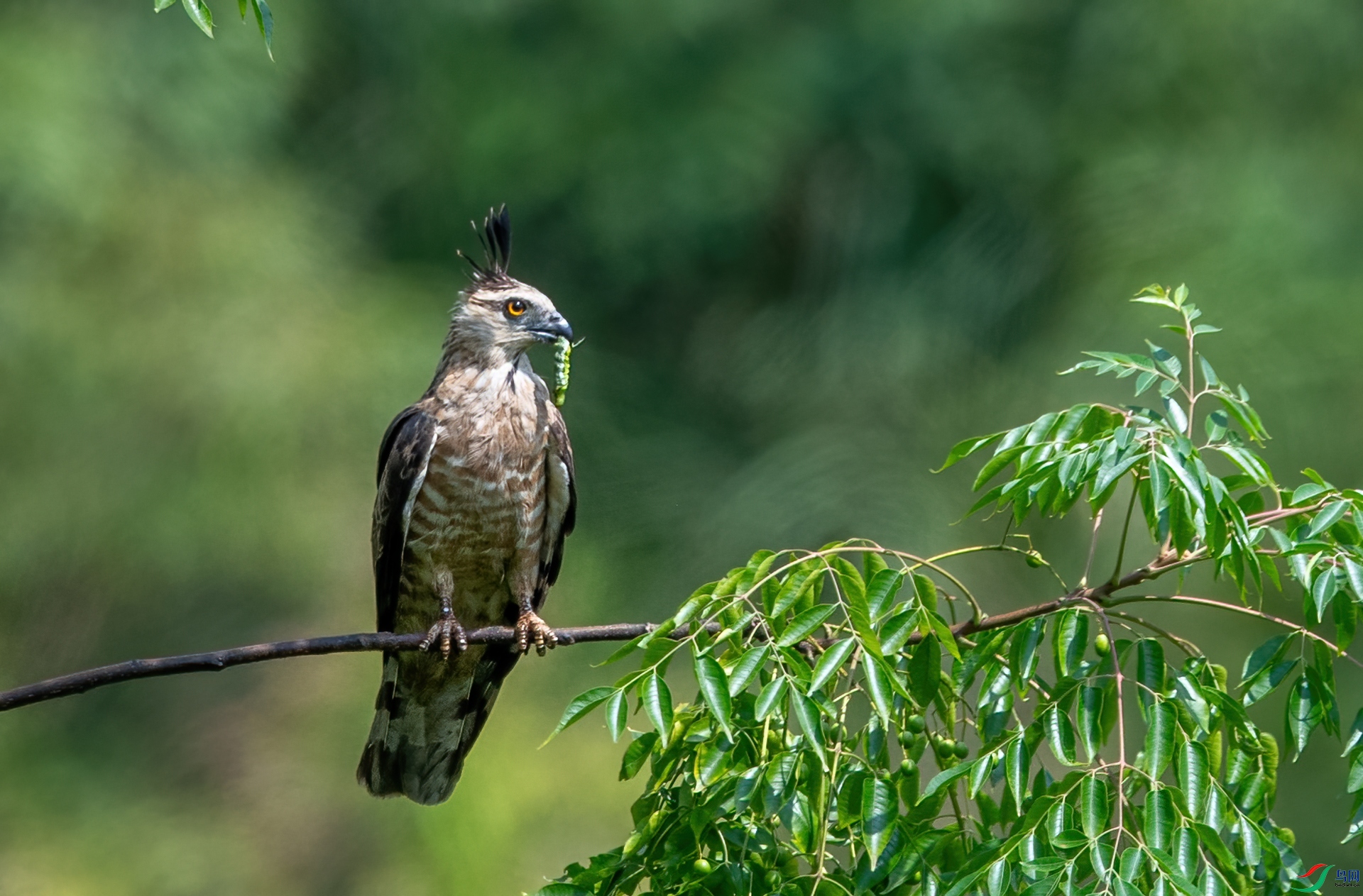 DSC_5856-1.jpg
