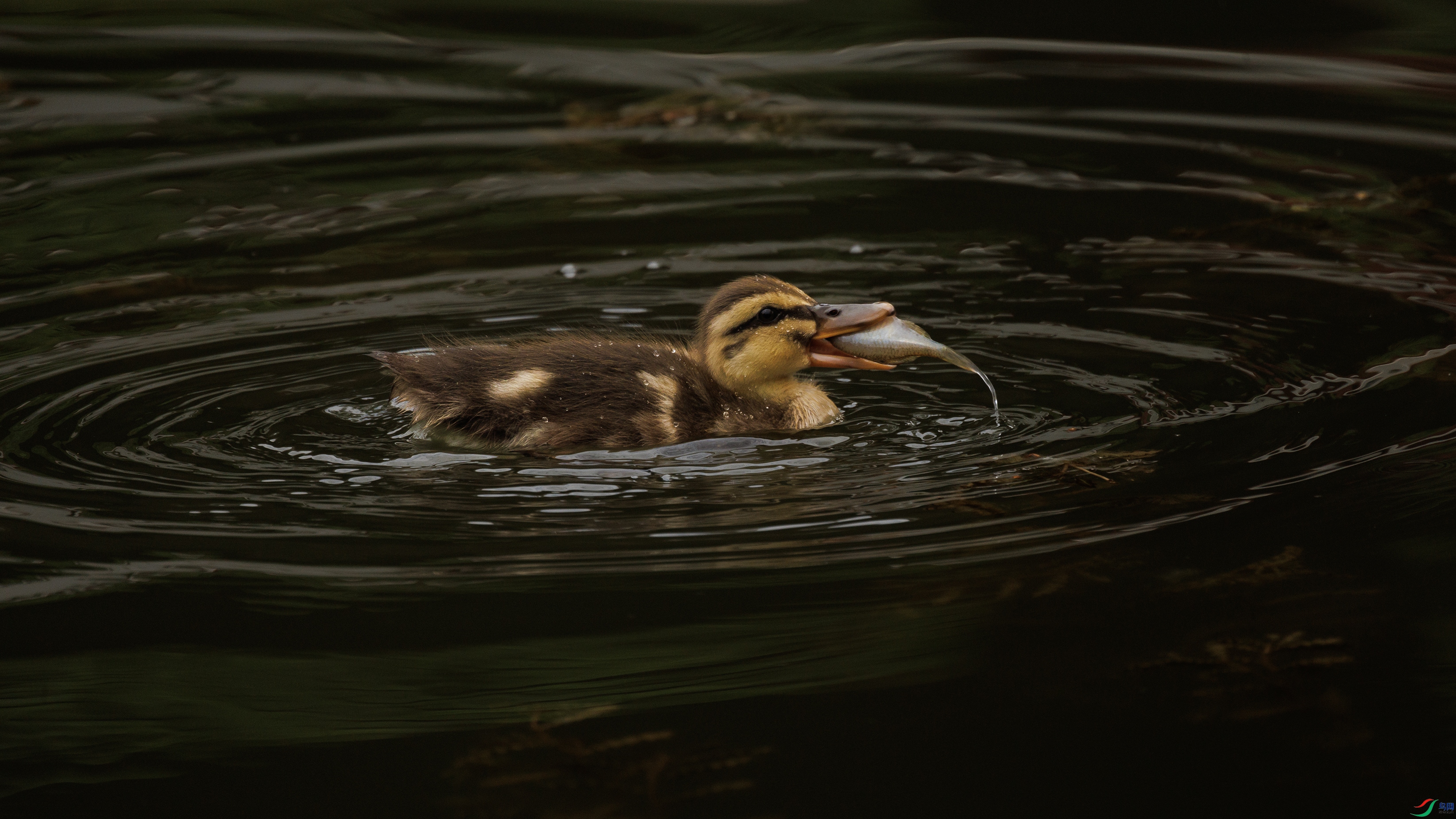 7X5A5007-2 77777.jpg