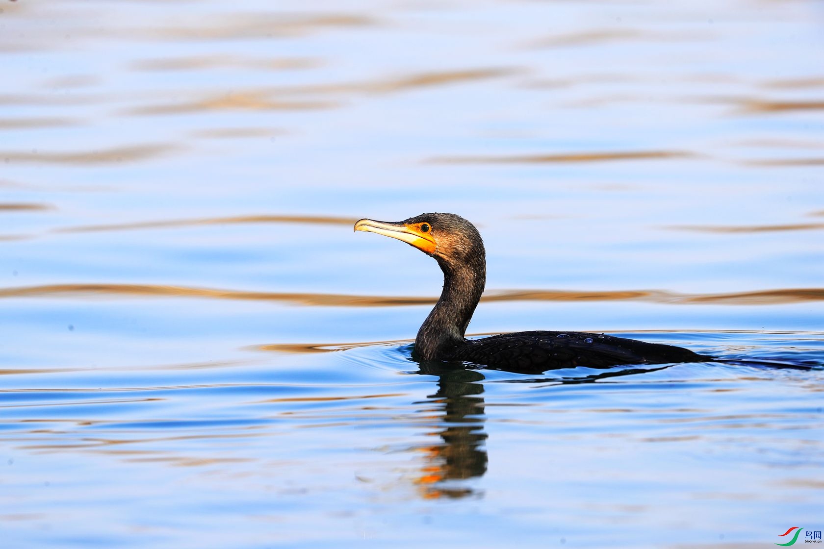 313��������.jpg