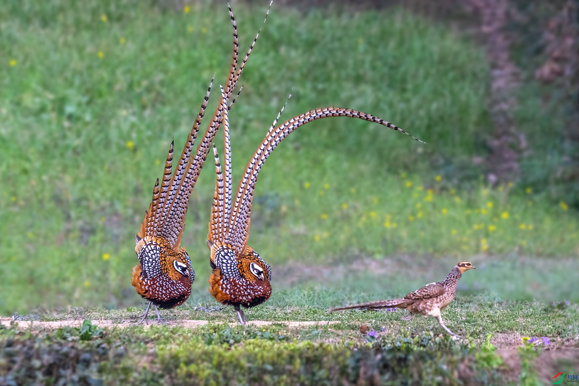 DSC_1179.jpg