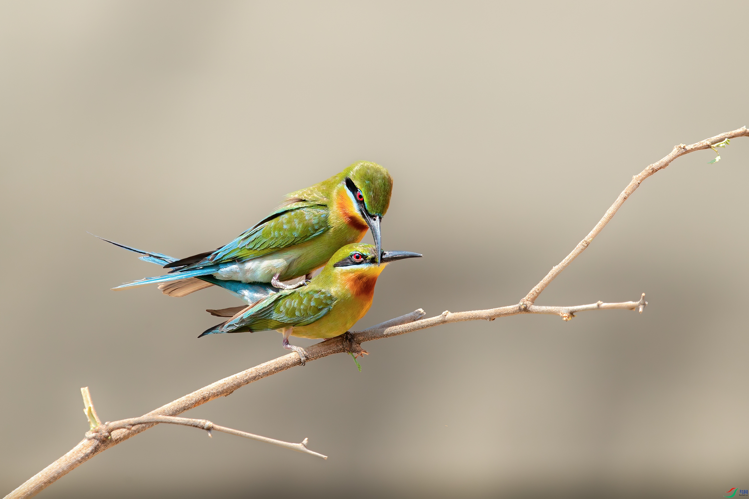 AY8I1830 ����.jpg