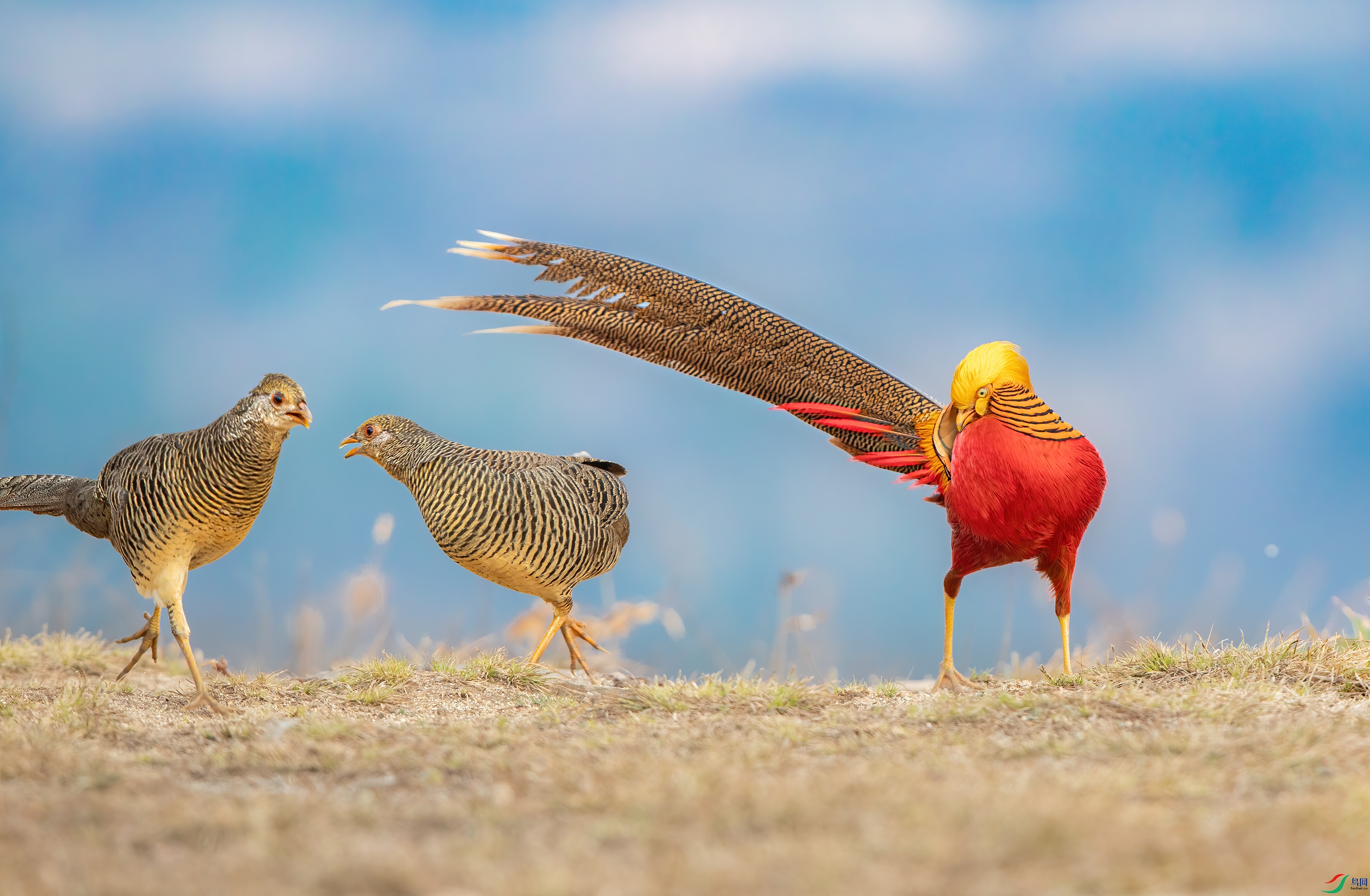 3S5A0827 ����.jpg