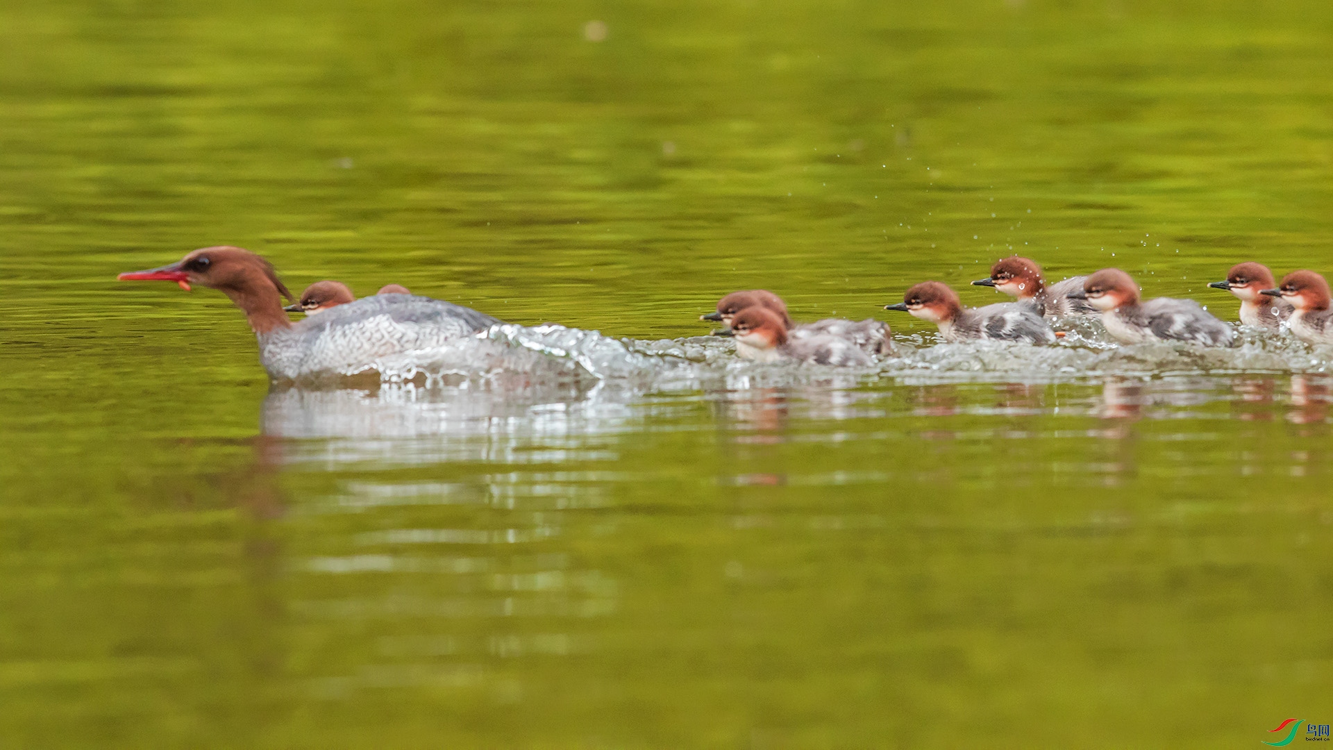 _00A5297.psd-1.jpg