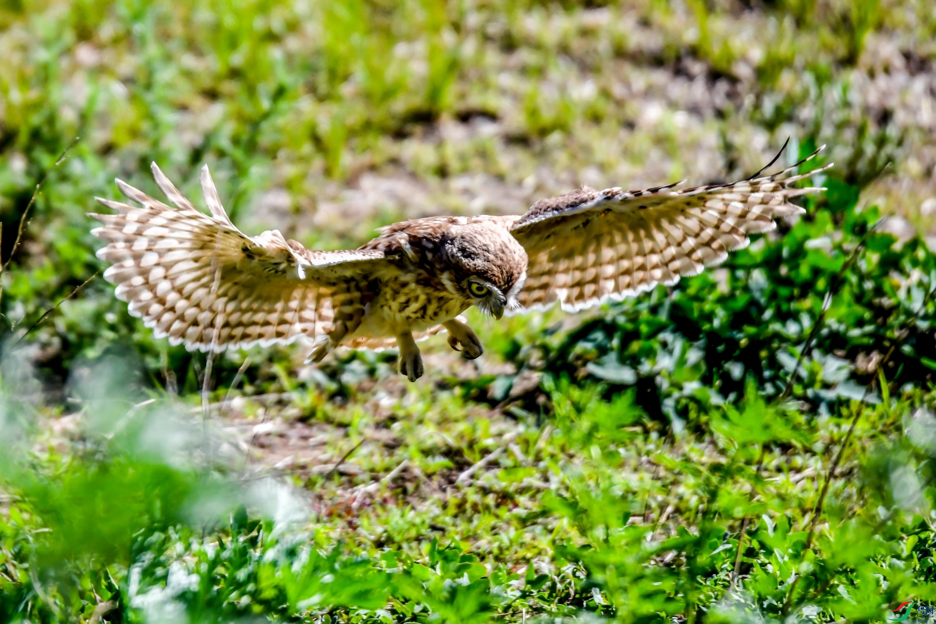 ����Ŀ��