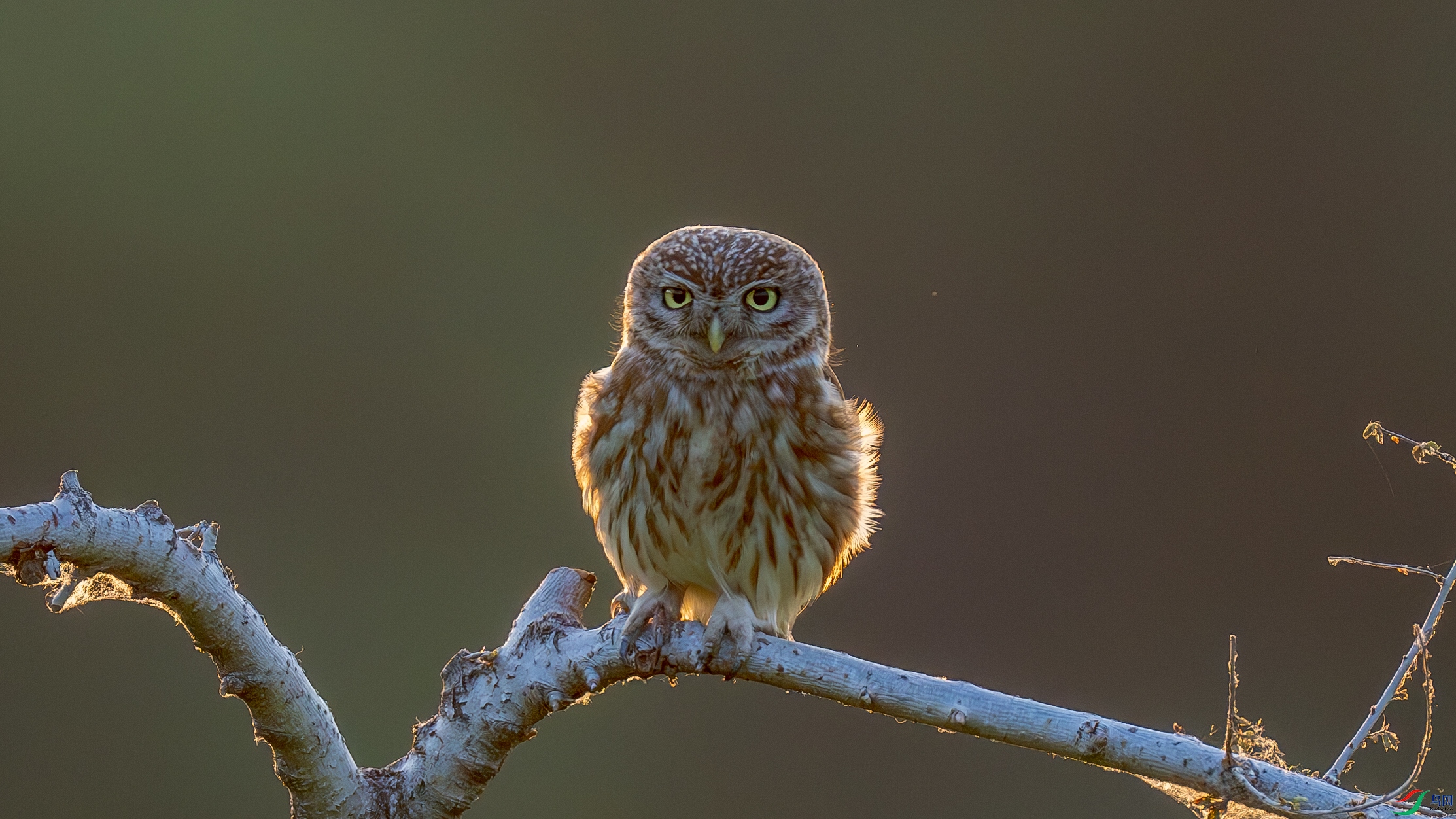 DSC05111-����ǿ-NR ����.jpg