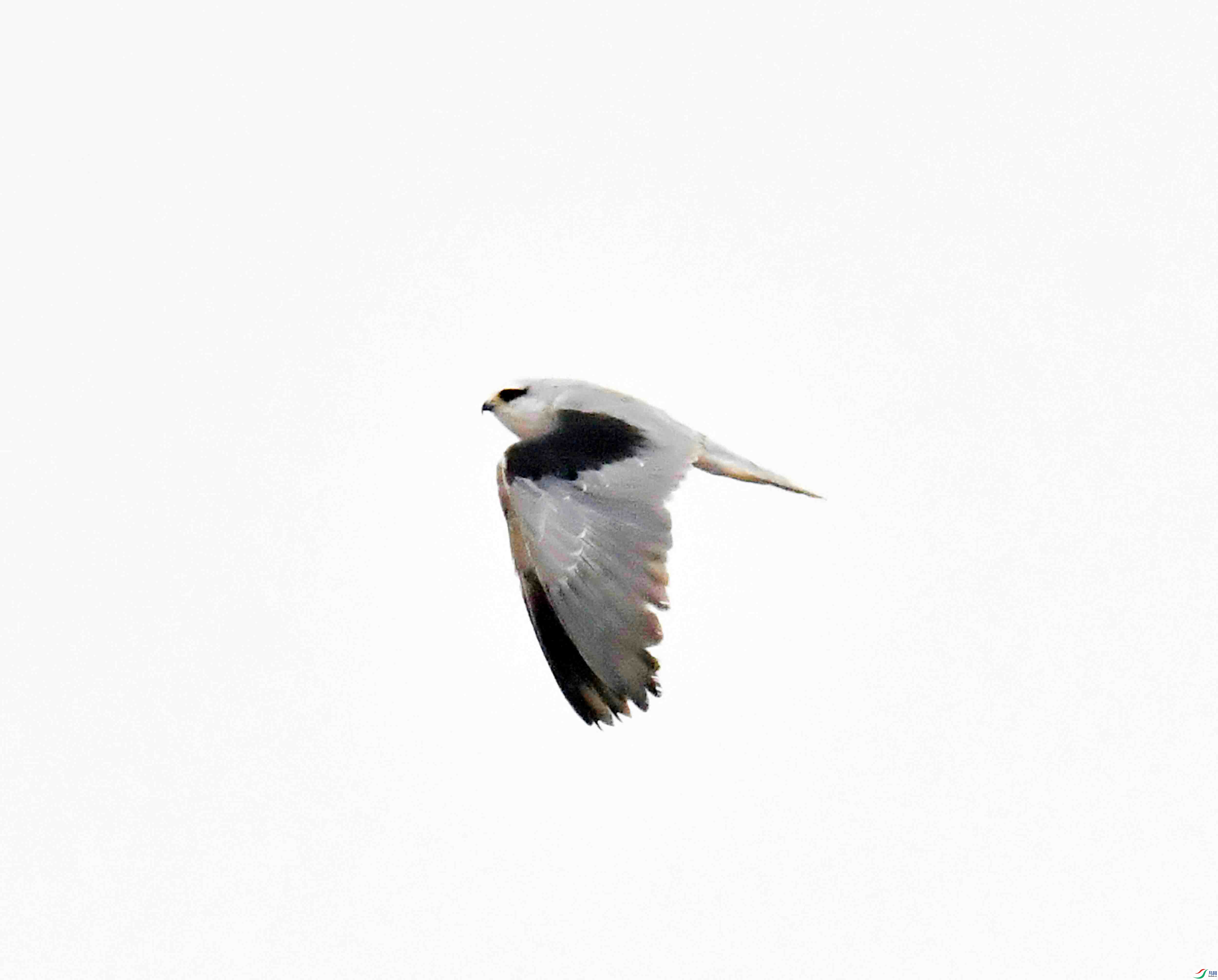 DSC_2783.JPG