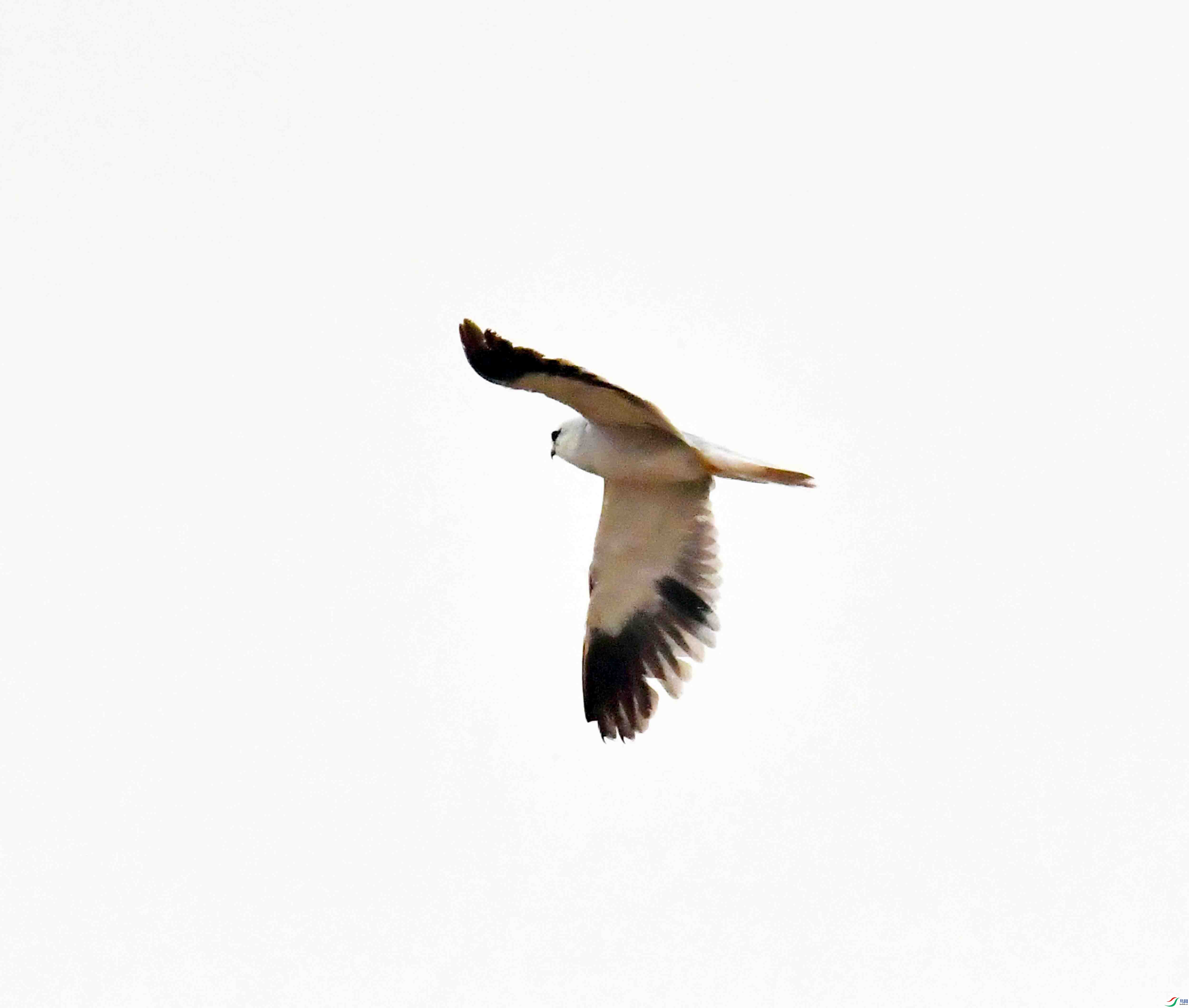 DSC_2769.JPG