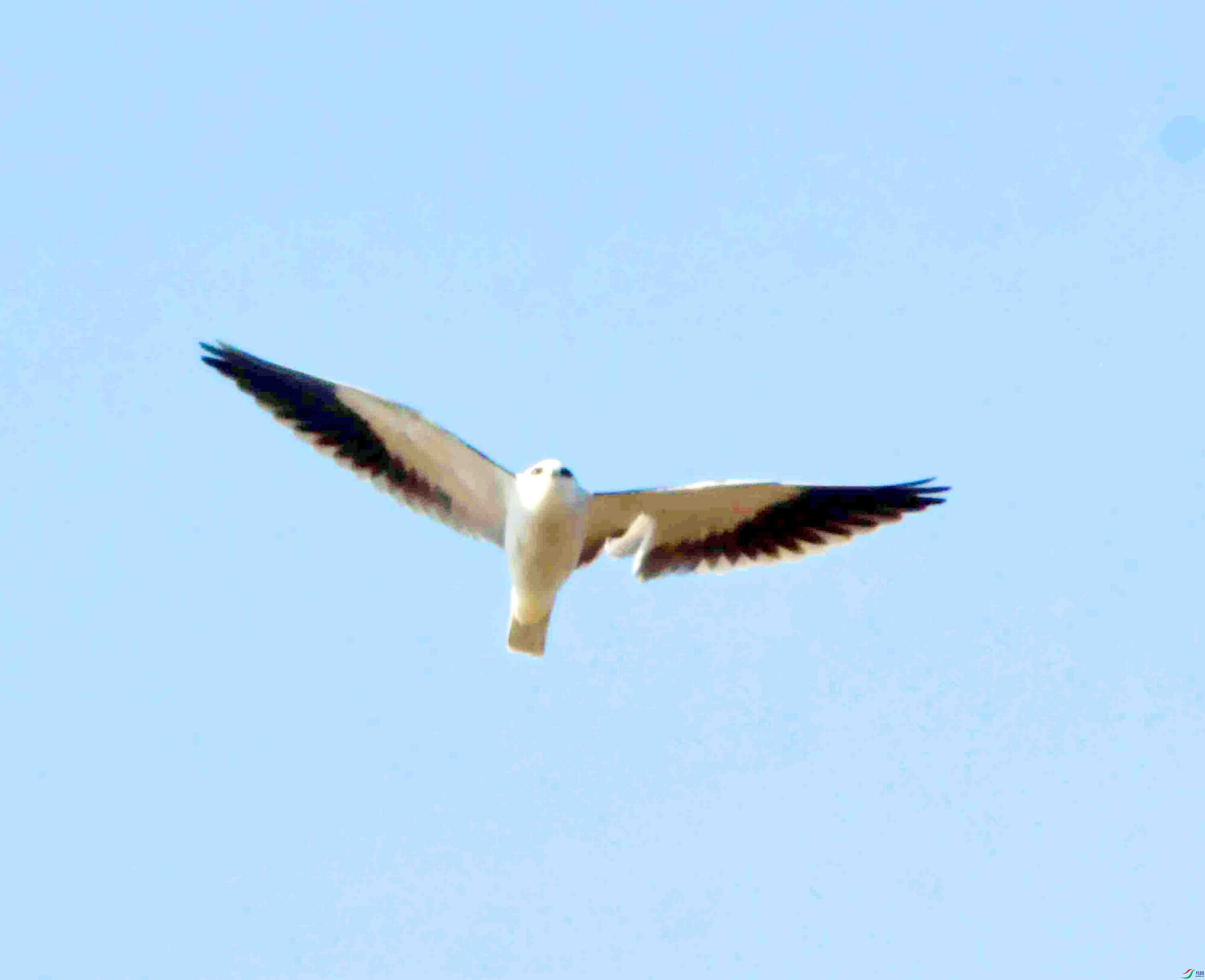 DSC_2959.JPG