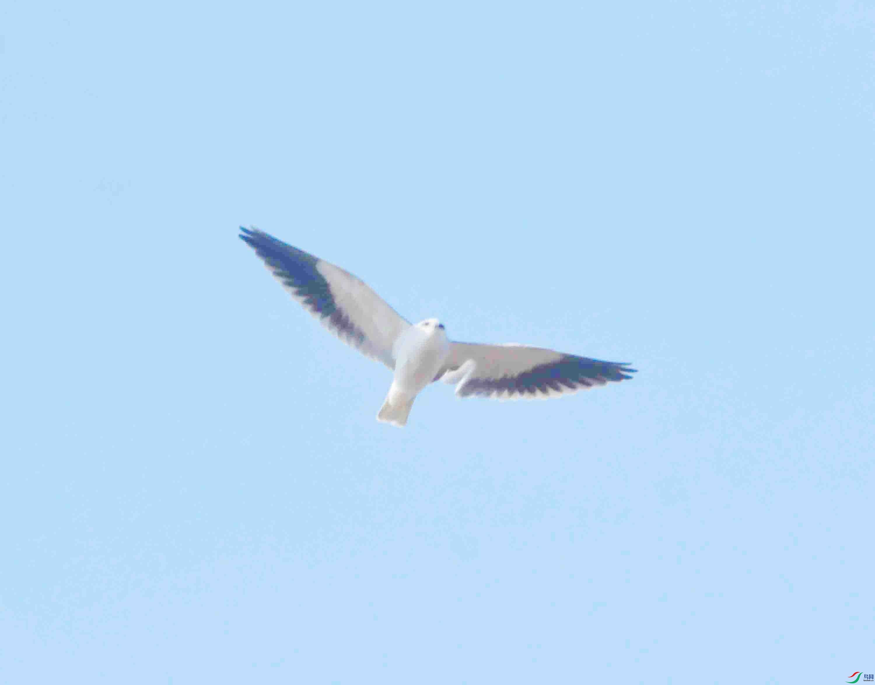 DSC_2960.JPG