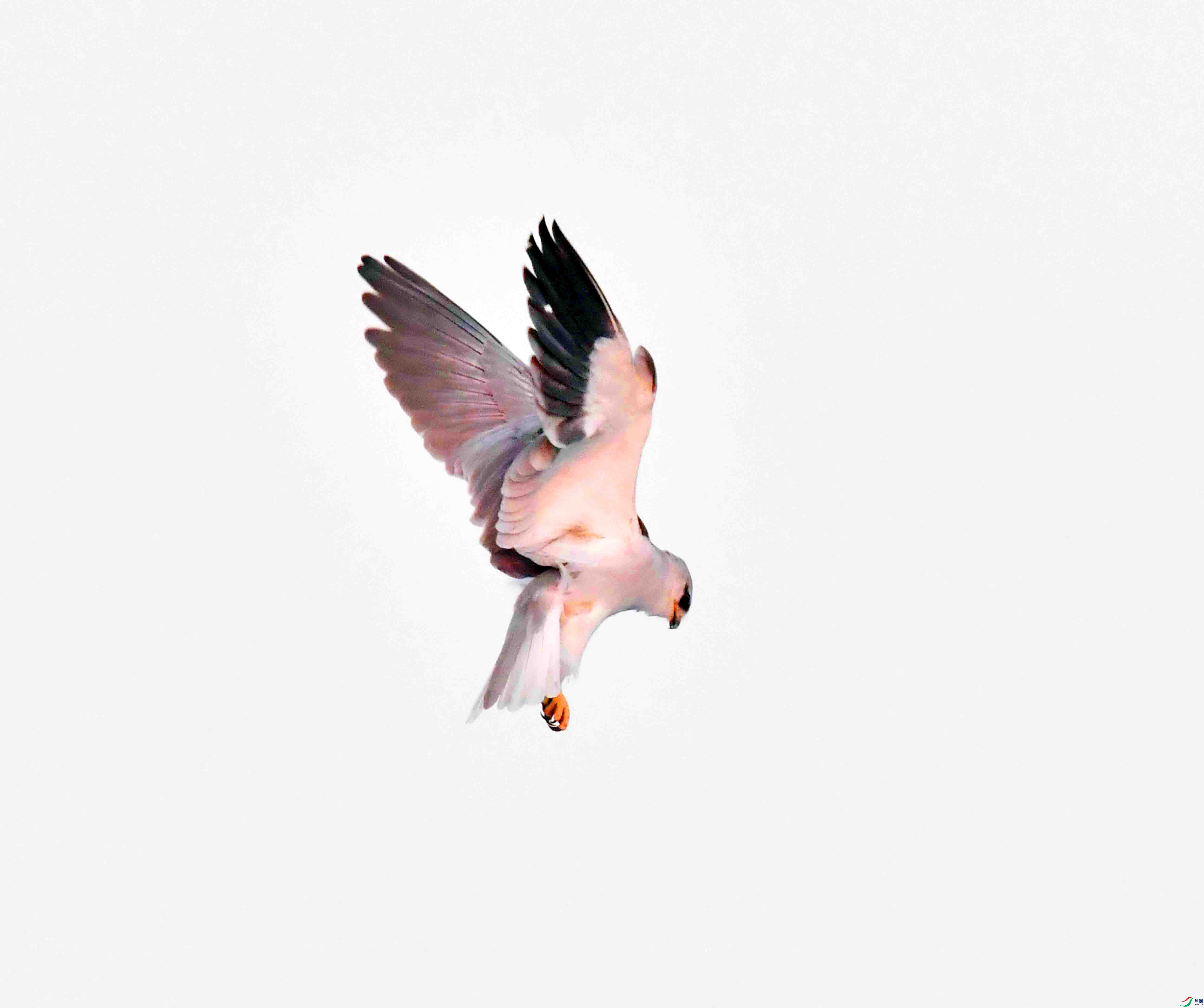 DSC_3568.JPG