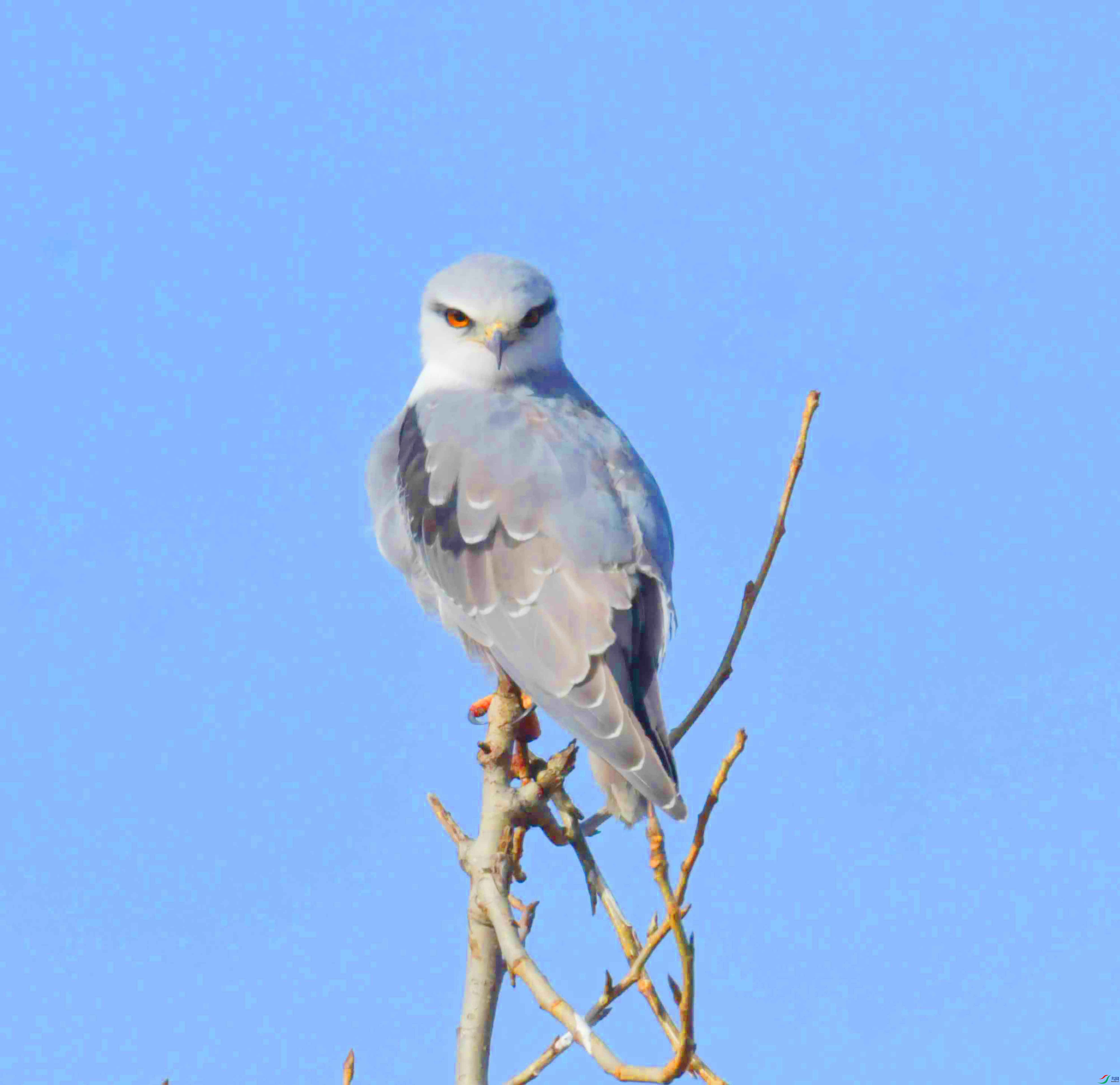 DSC_3774.JPG
