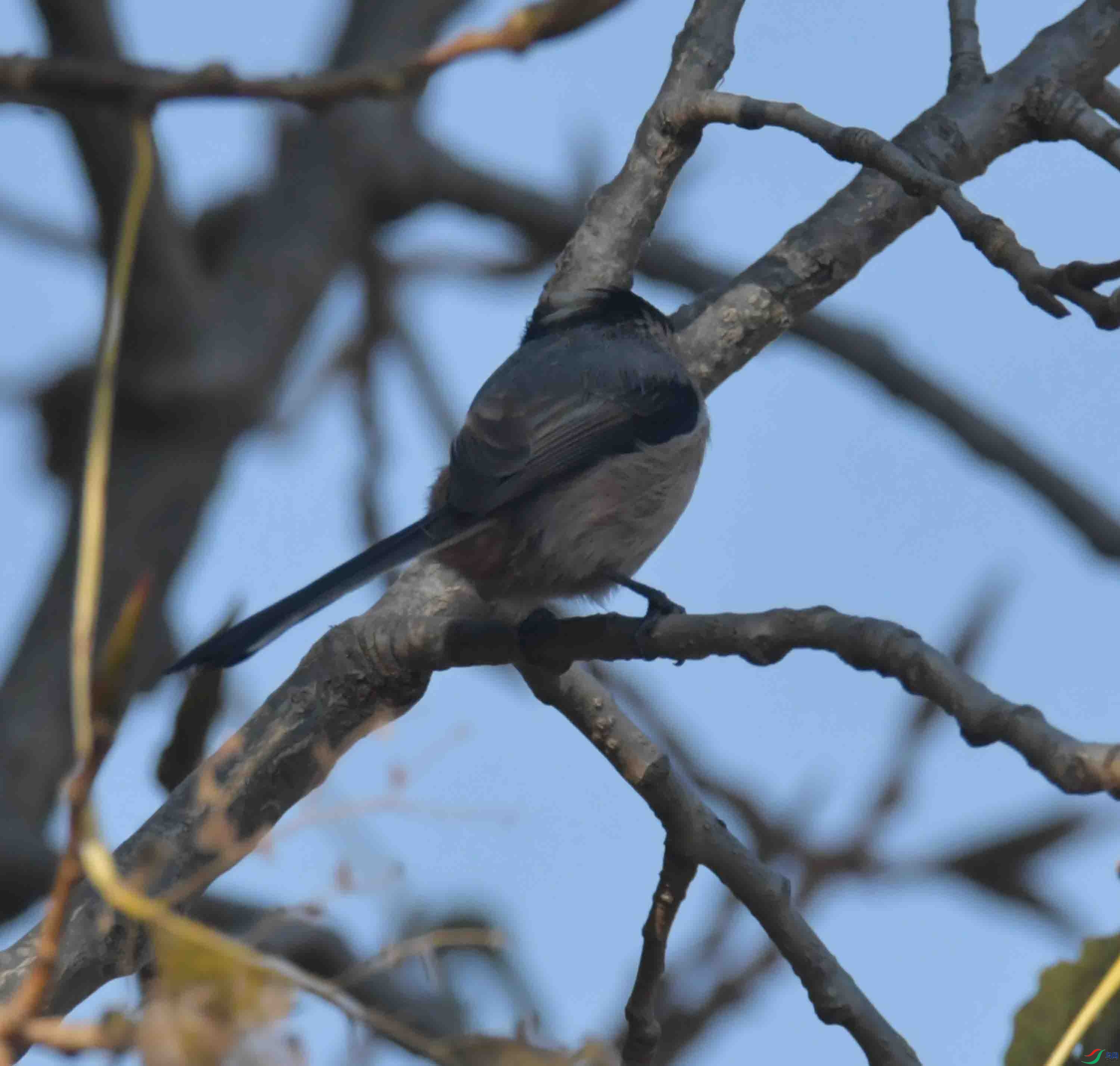 DSC_3014.JPG