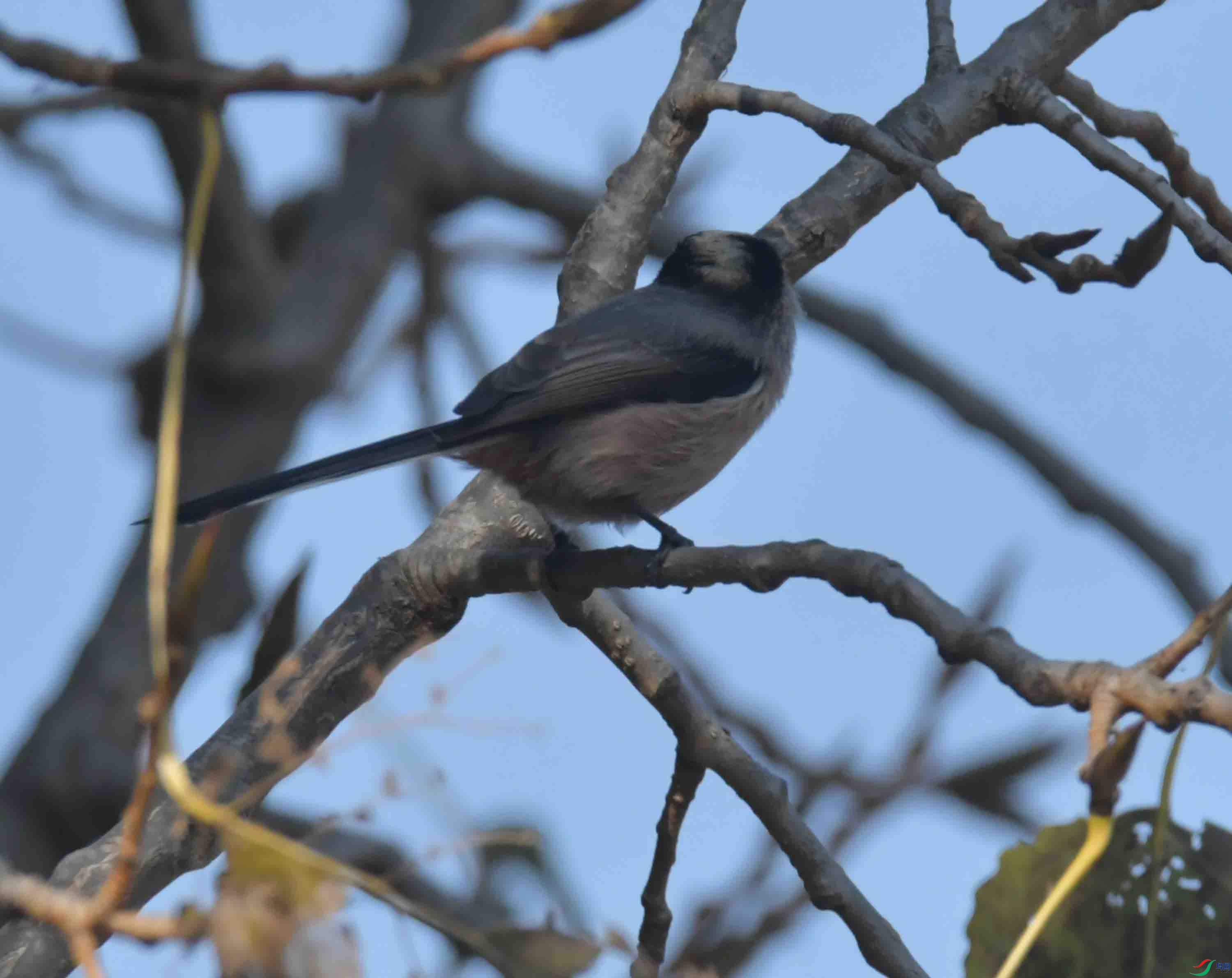 DSC_3015.JPG