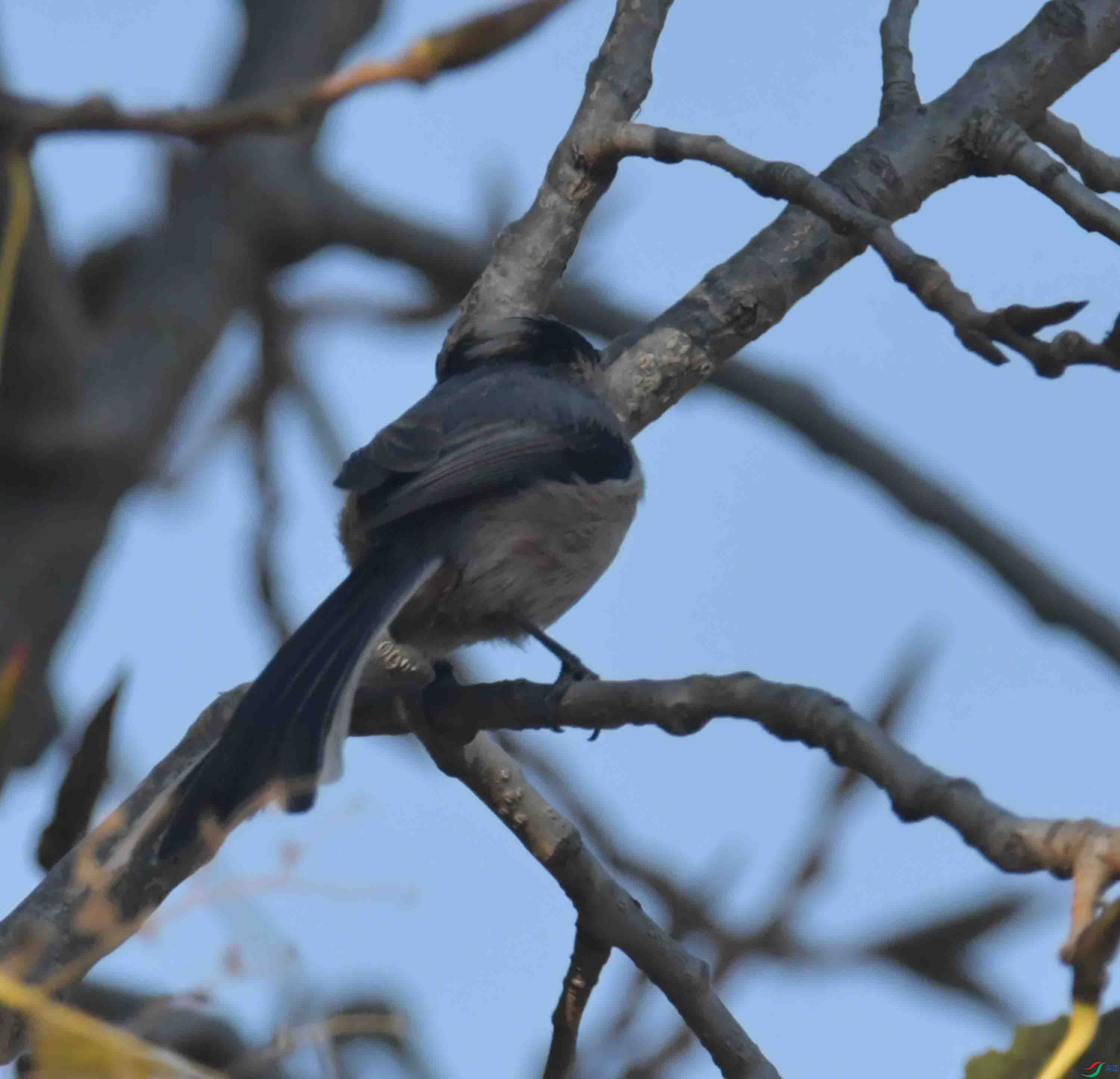 DSC_3013.JPG