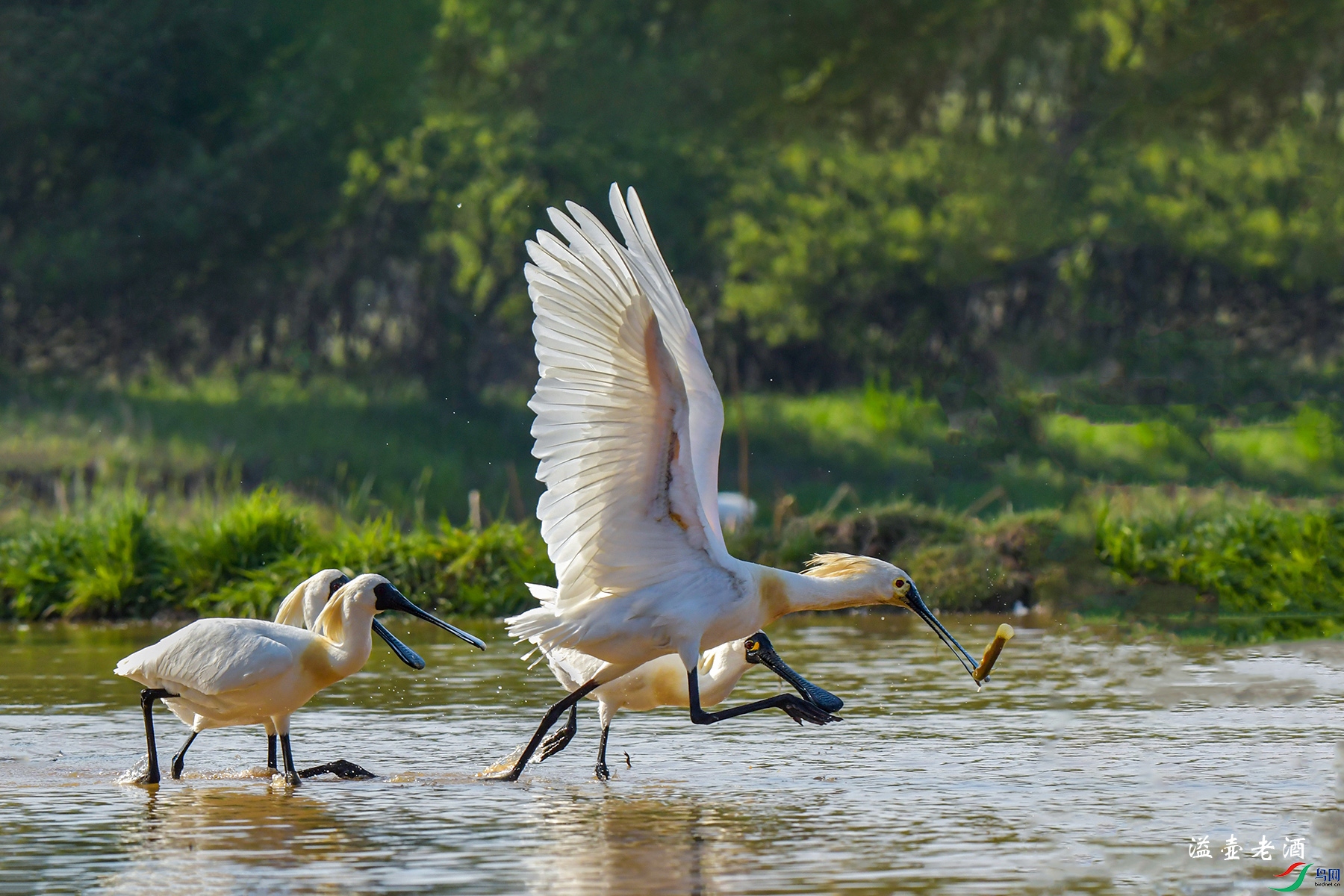 ��������