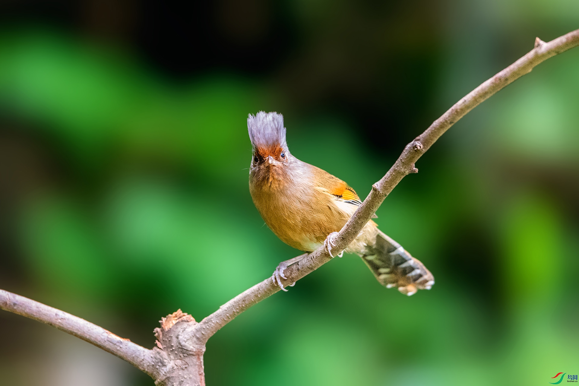 ��_AUU2147�����߳���(24.2.15)-1.jpg