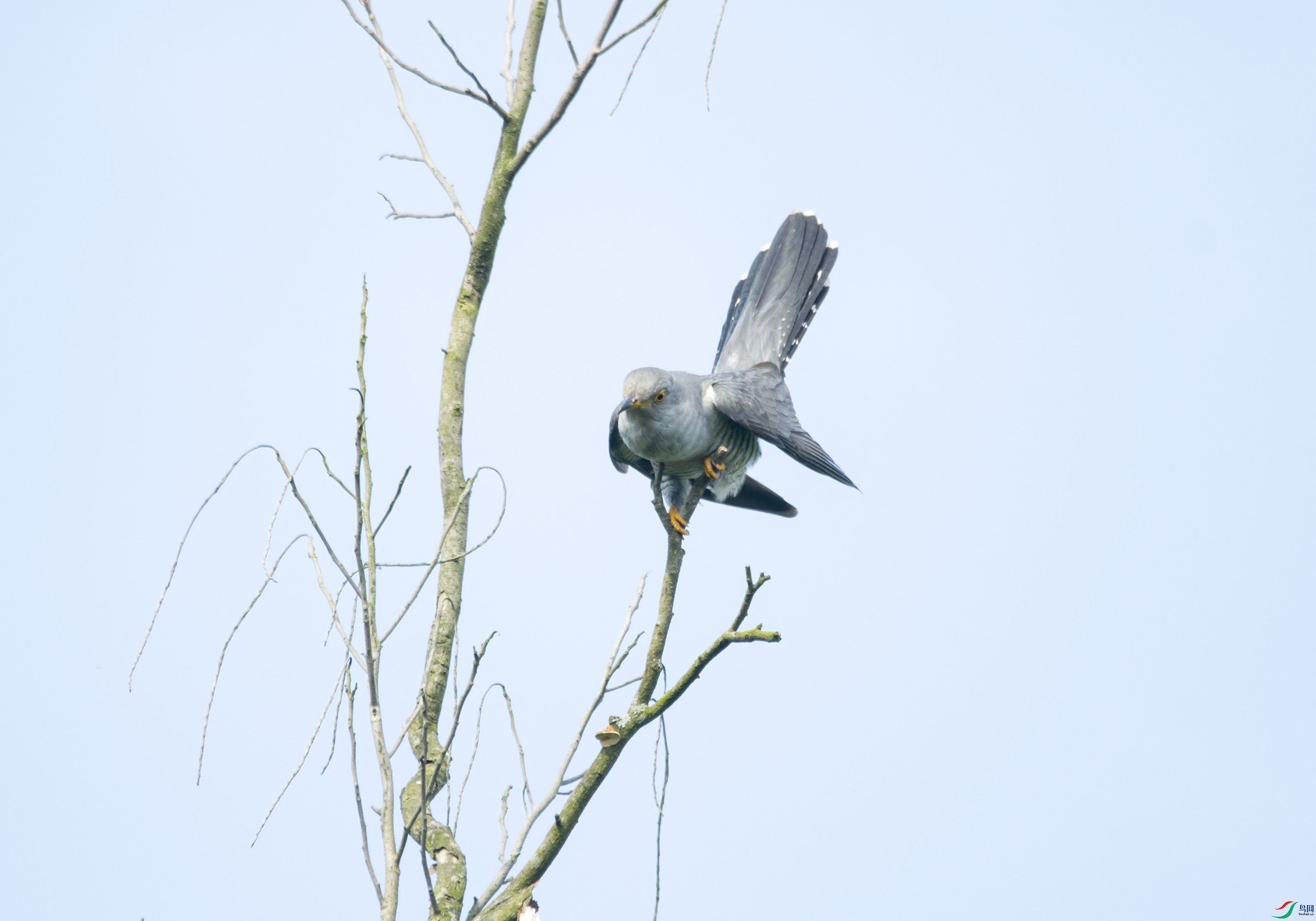 DSC_9338.jpg