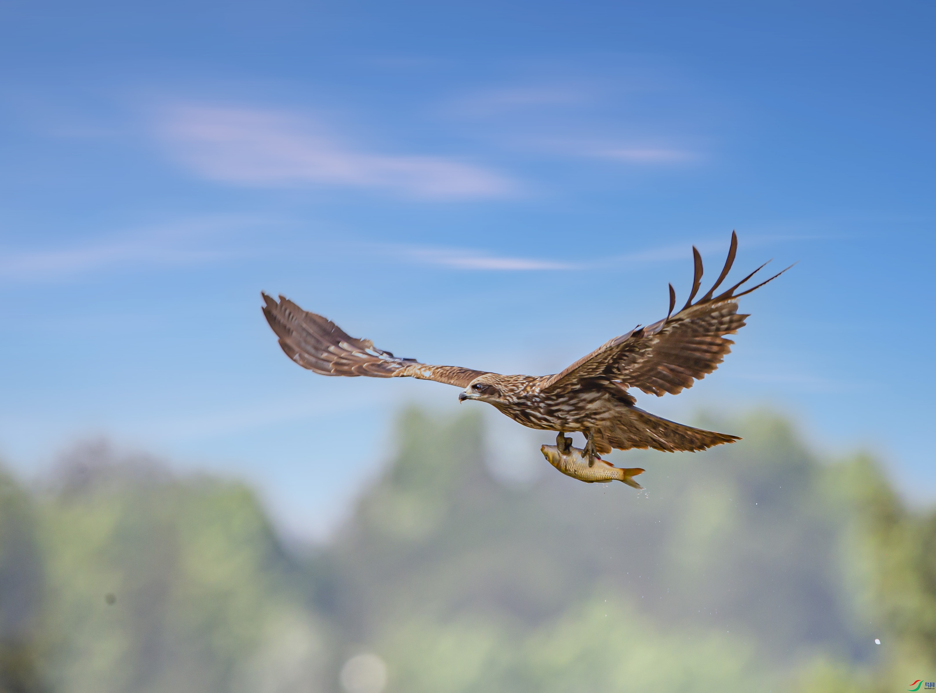 AP9T7028 ����.jpg