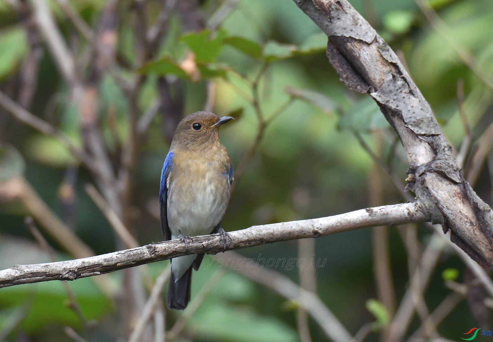 6 �������l ����