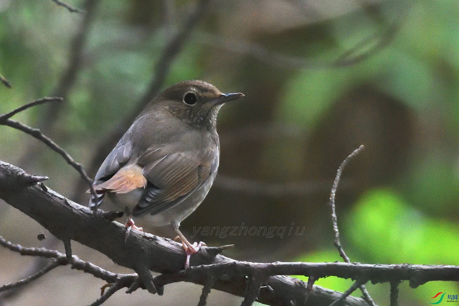 4 ��β���z