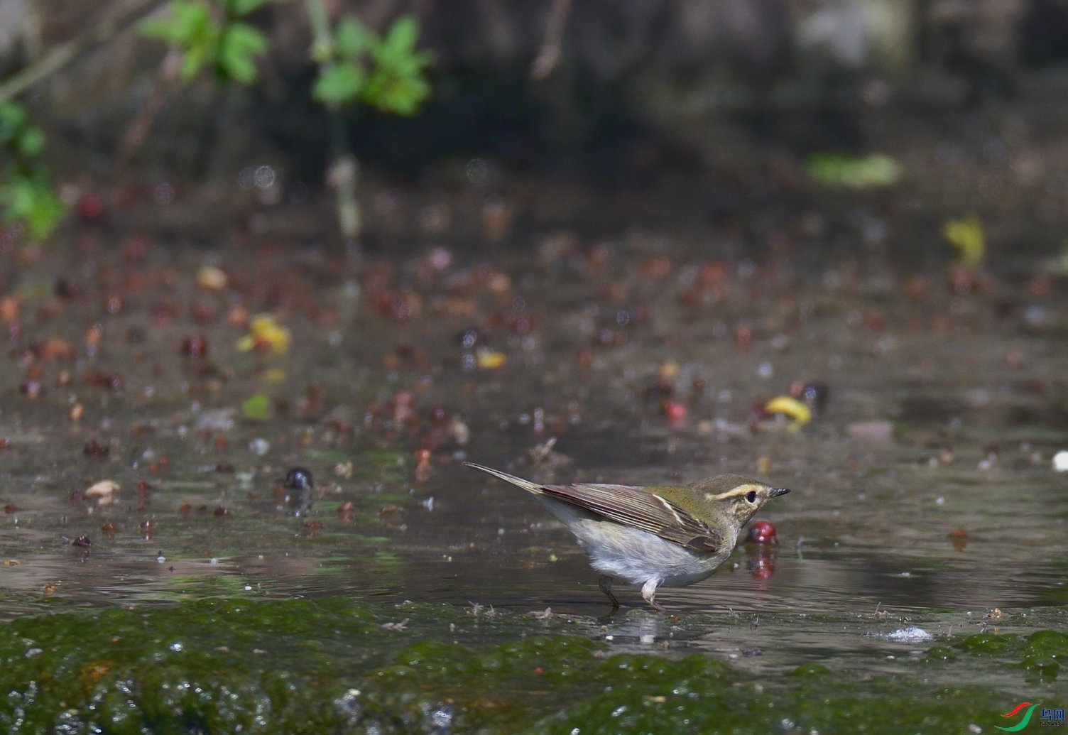 21 ��ü��ݺ��