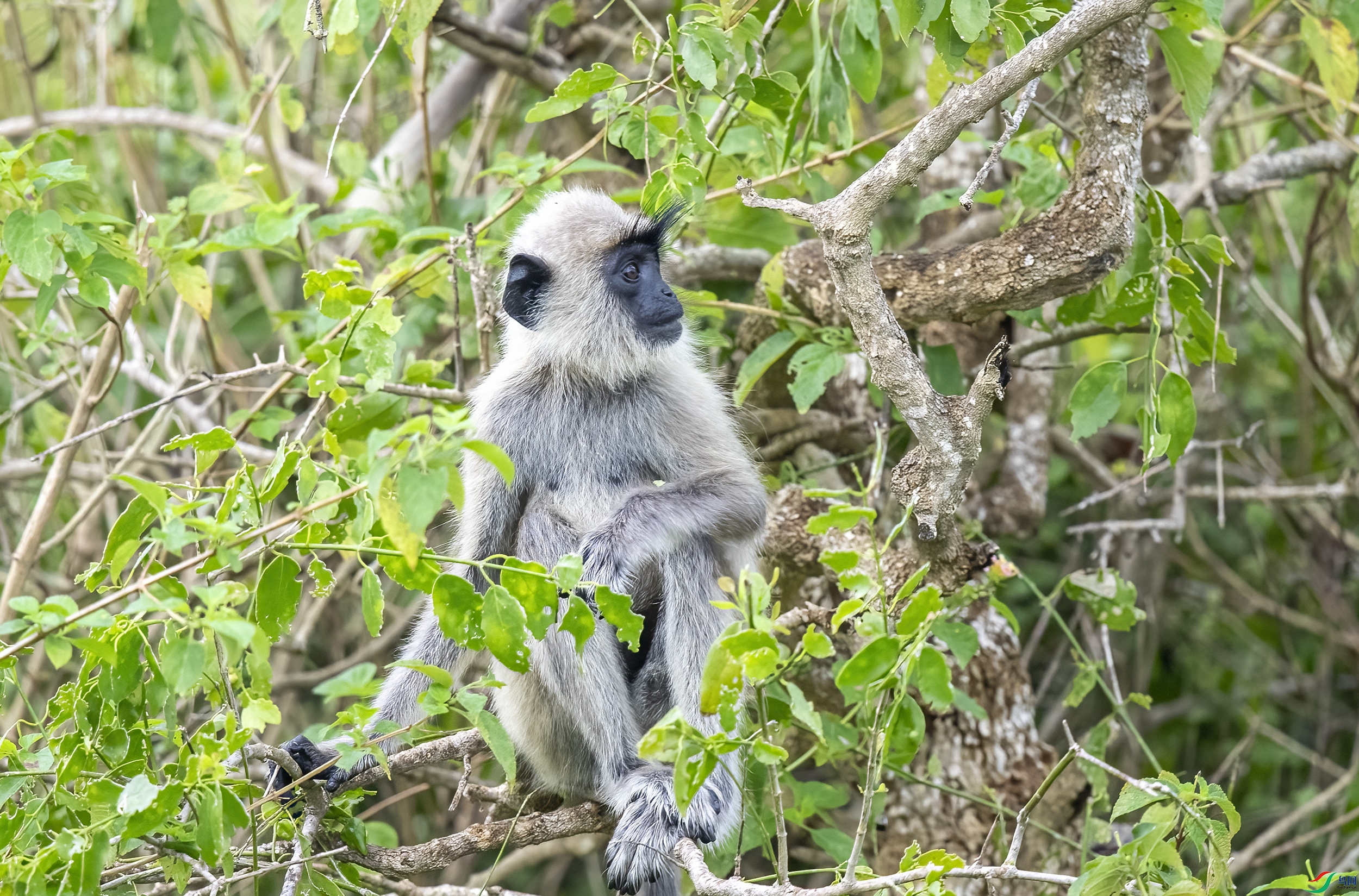 AC3I5355 ����.jpg