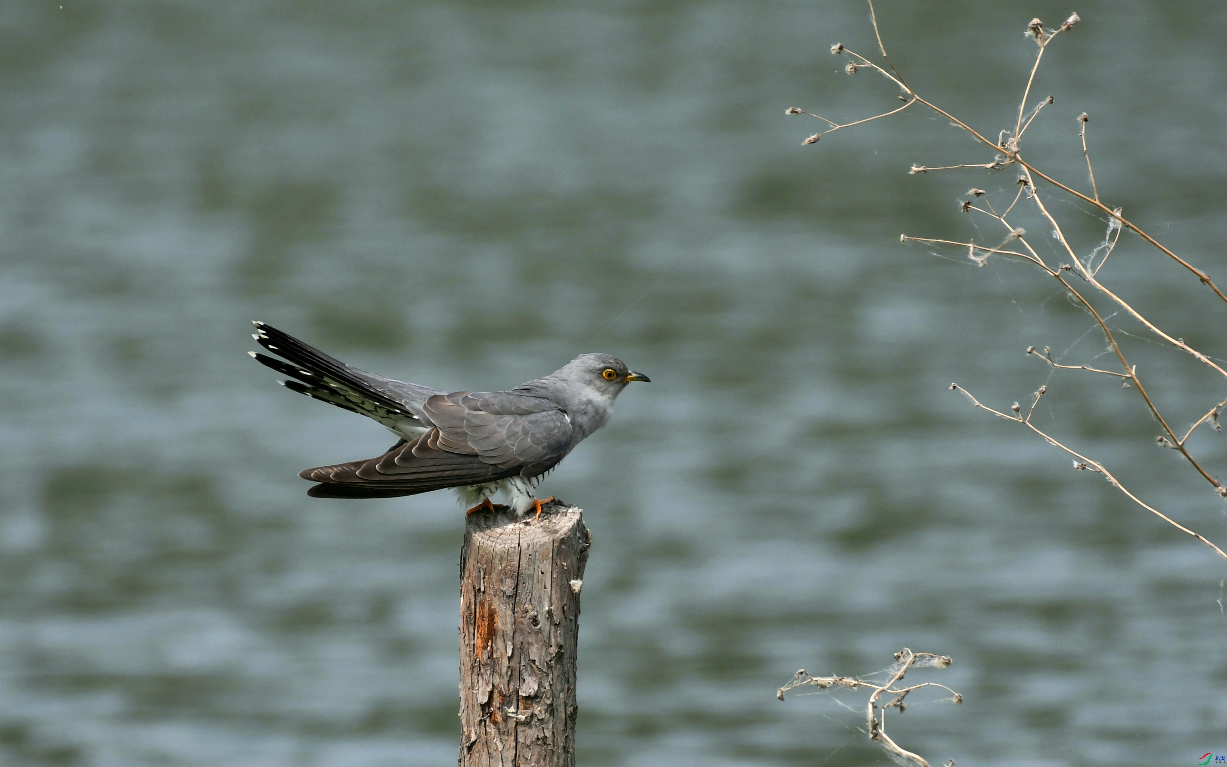 DSC_0219.JPG