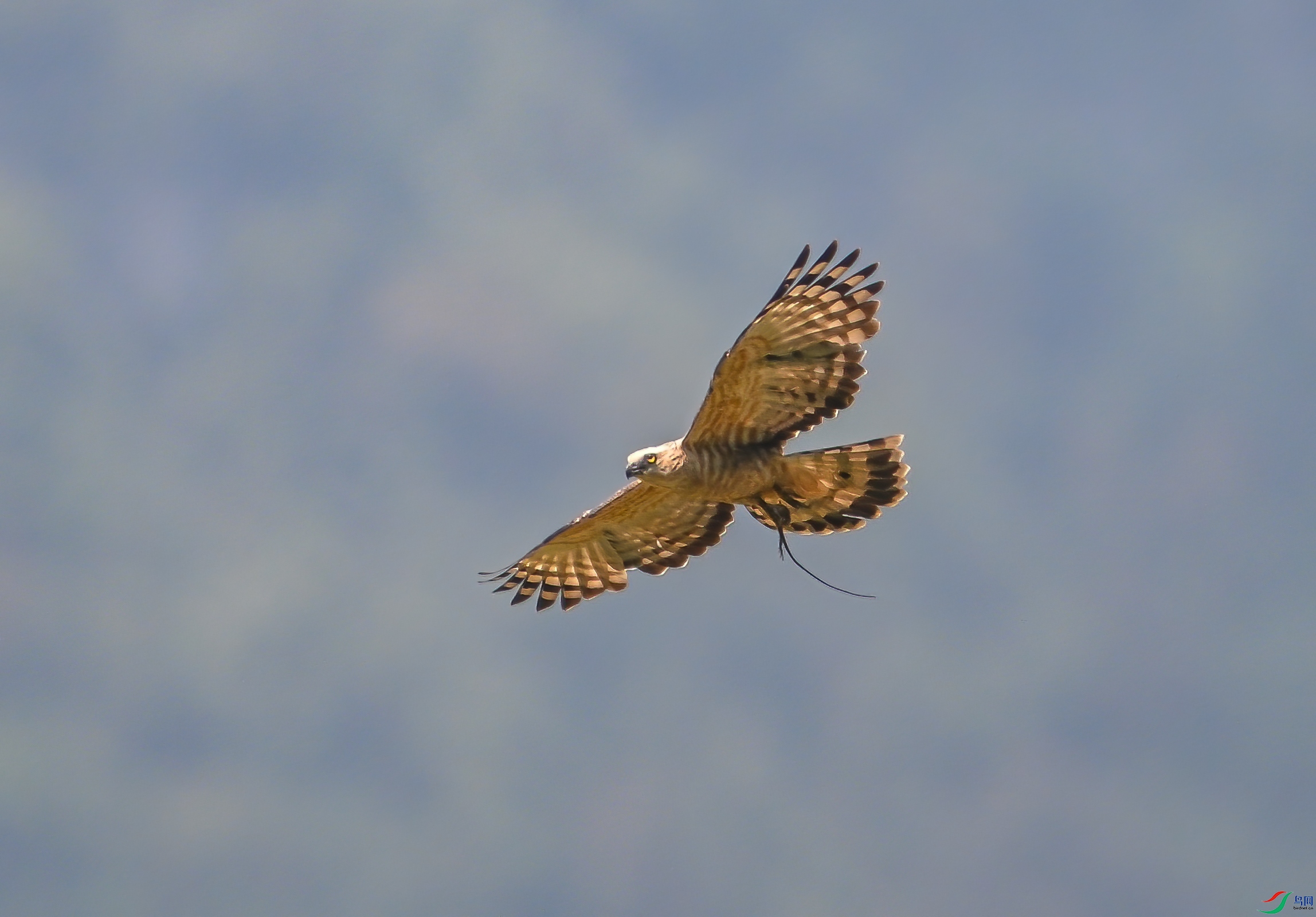 DSC_1112.jpg