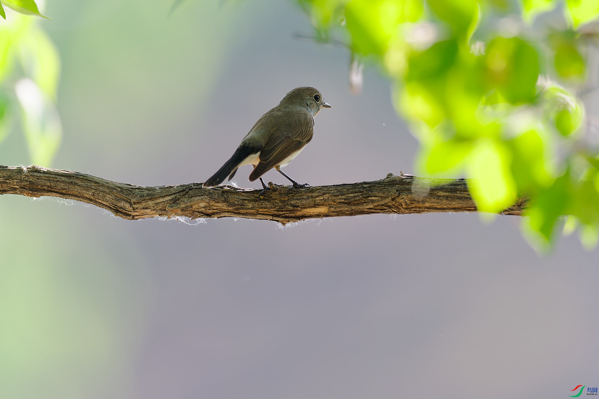 DSC_3090.jpg