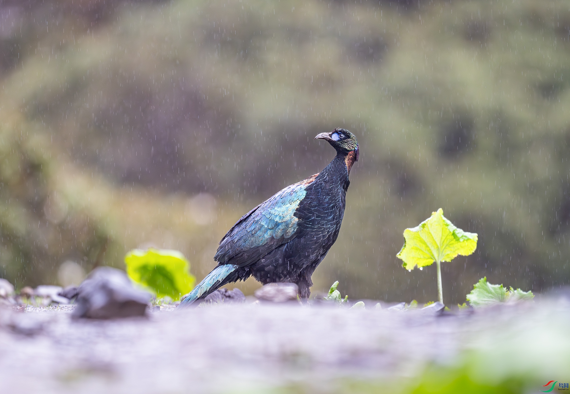 DSC_2227.jpg
