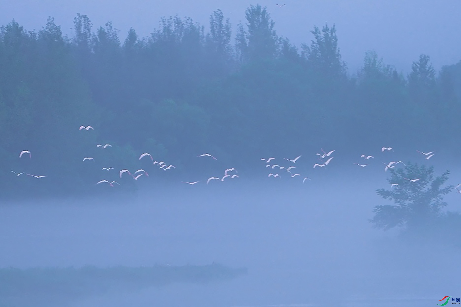 8E86E96E43F810B953288F72D07F09AE ����.jpg