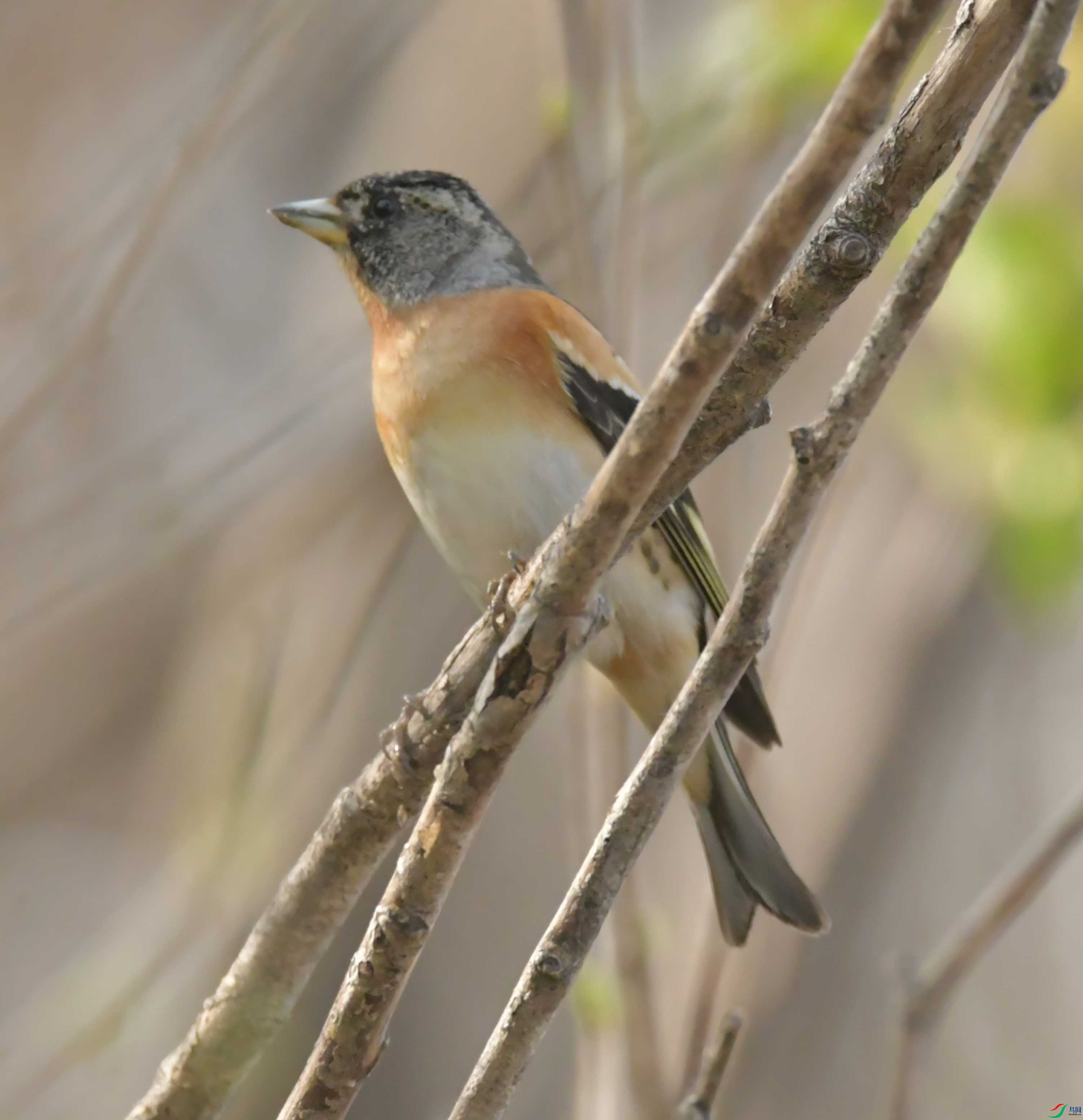 DSC_8144.JPG
