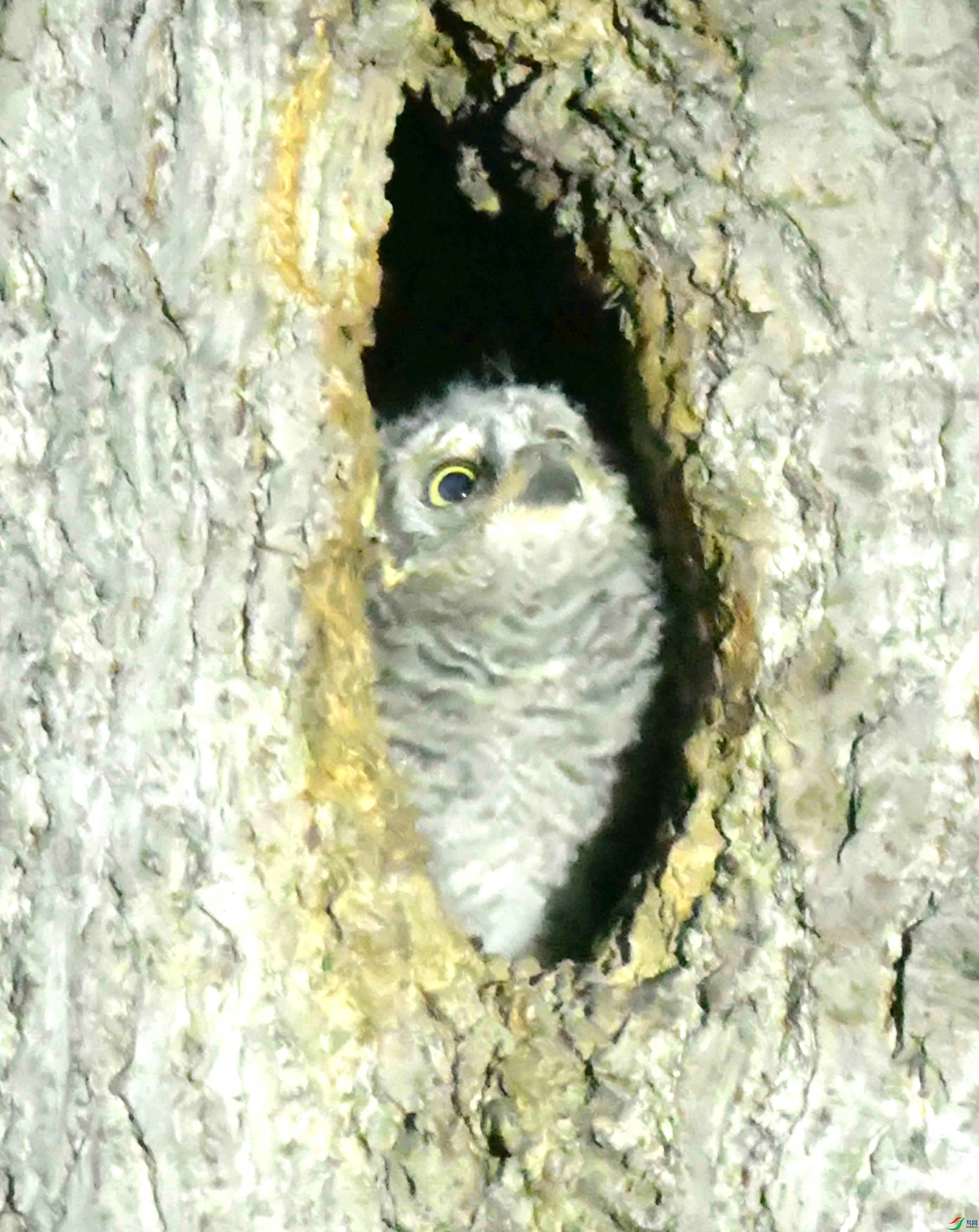 DSC_1205.JPG