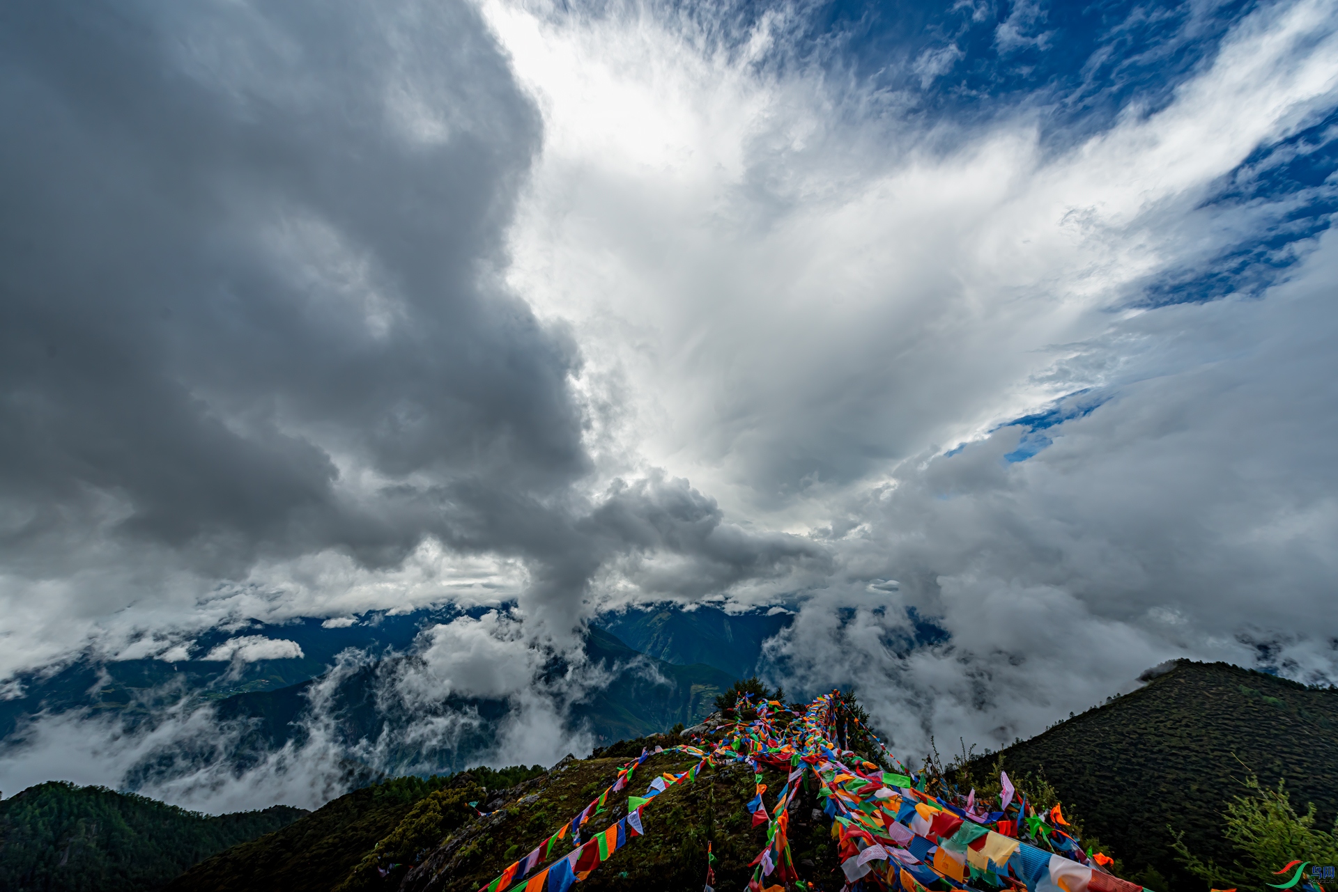 DSC_3580-11.jpg