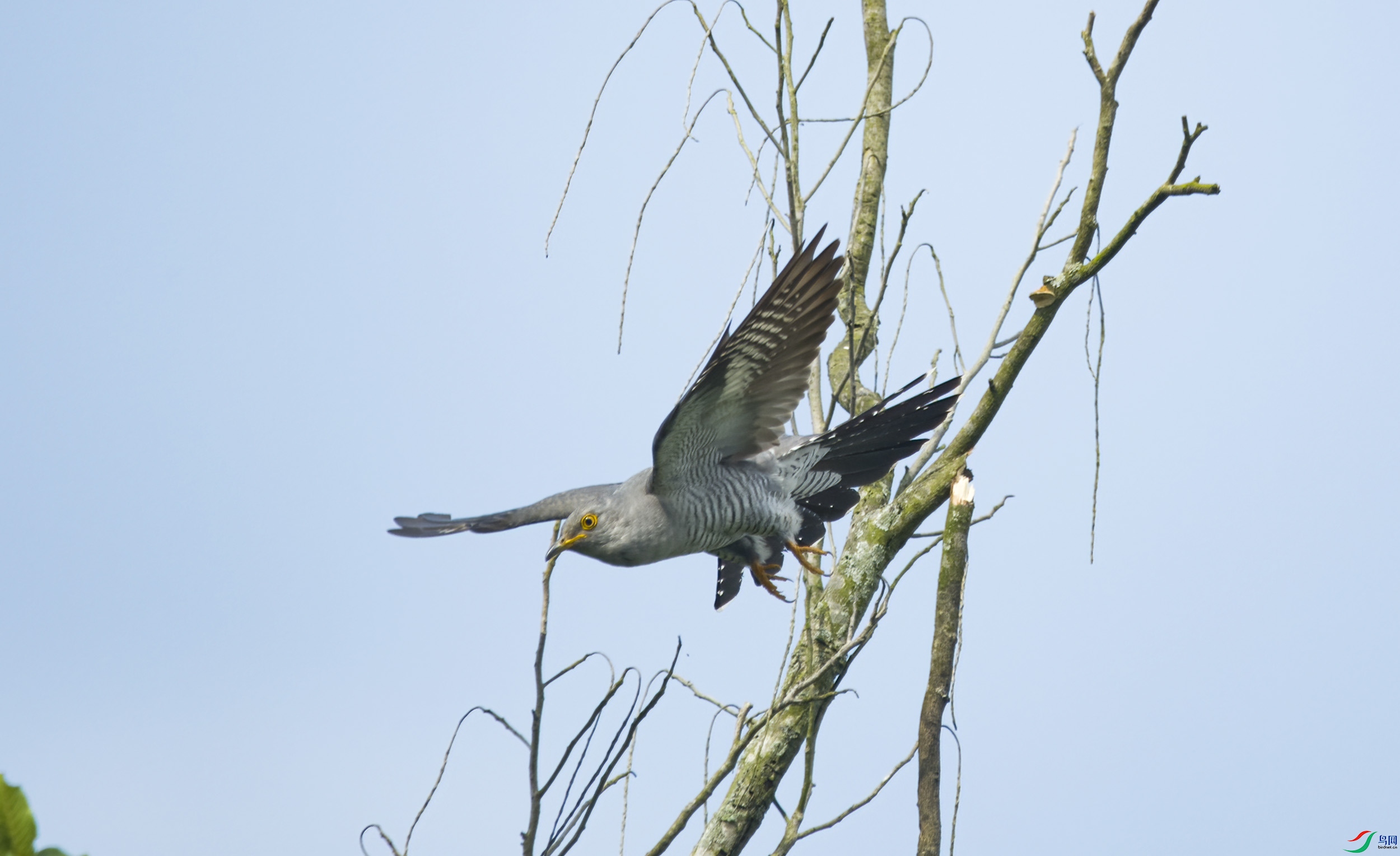 DSC_9341.jpg