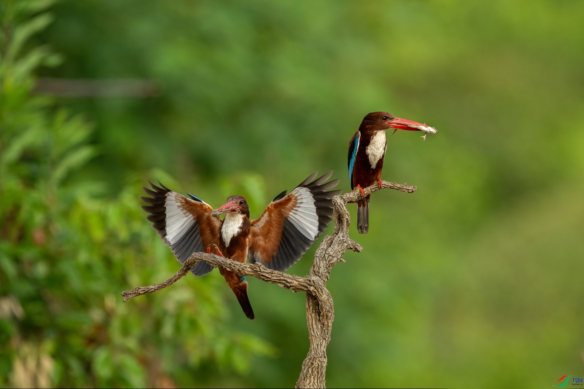 _DSC2231 ����_1.jpg