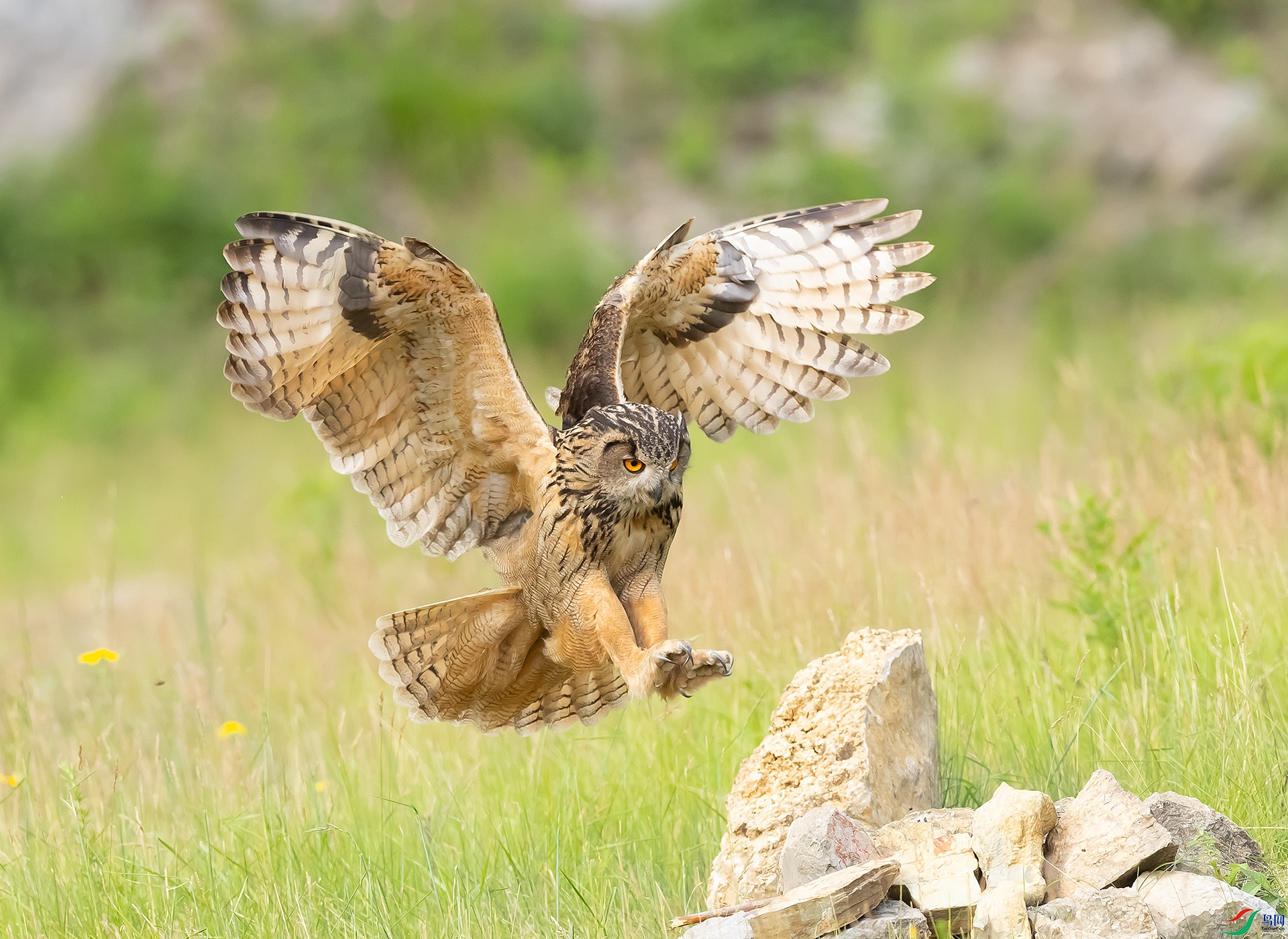 019A0903 ����.jpg