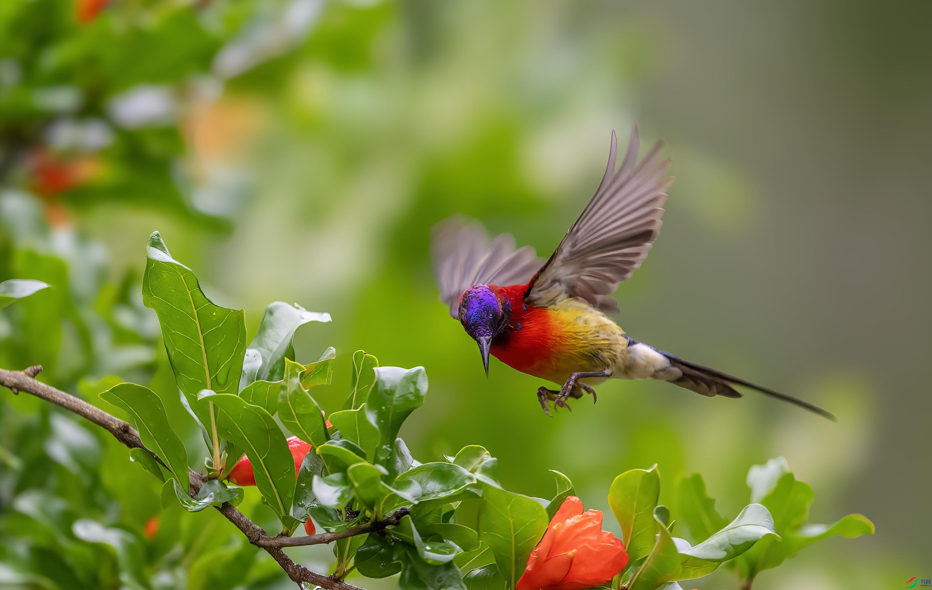 DSC_6900 ����.jpg