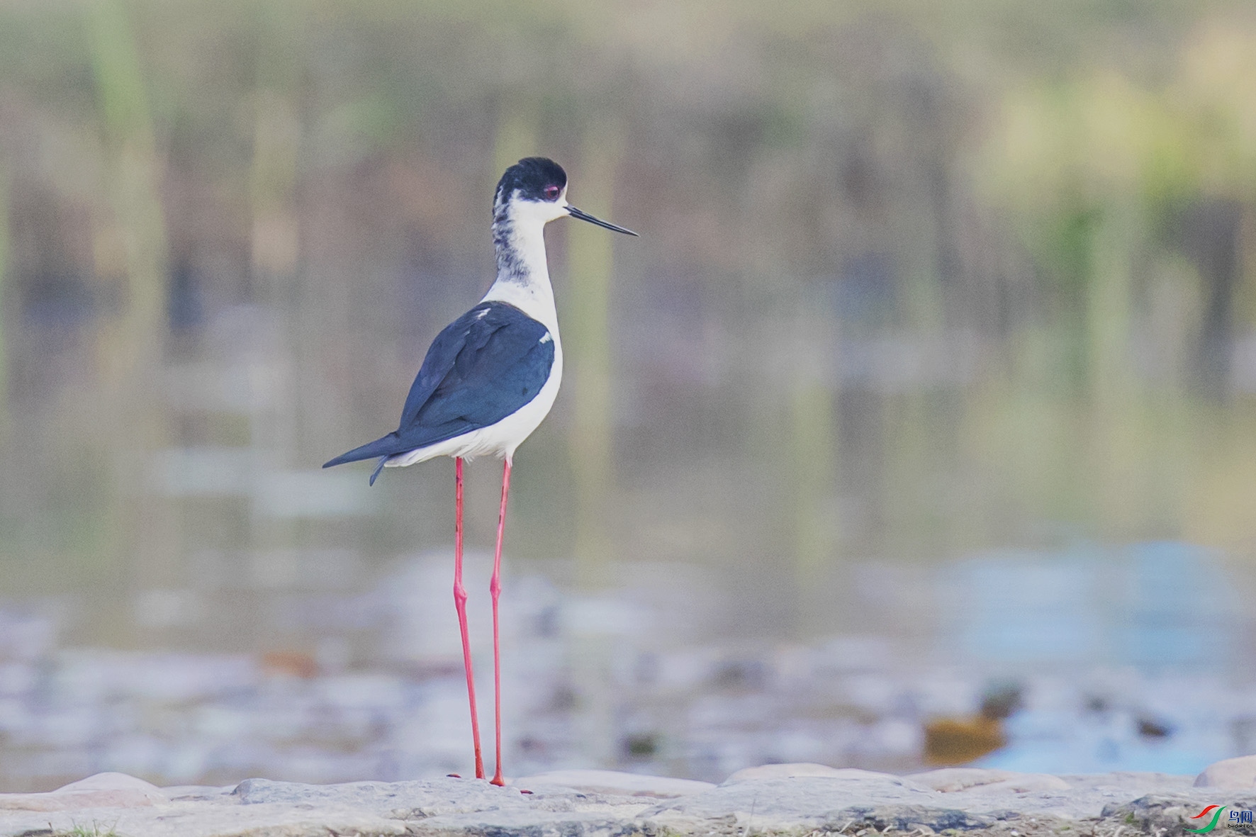 _90I3443 ����.jpg