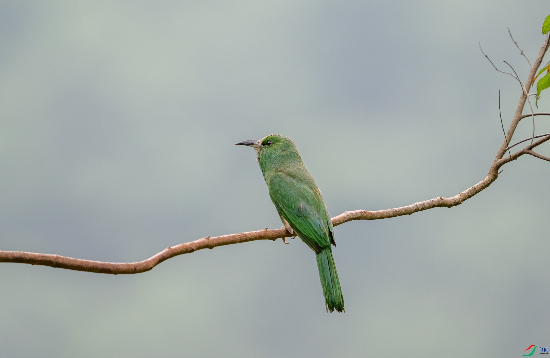 DSC_1701.jpg