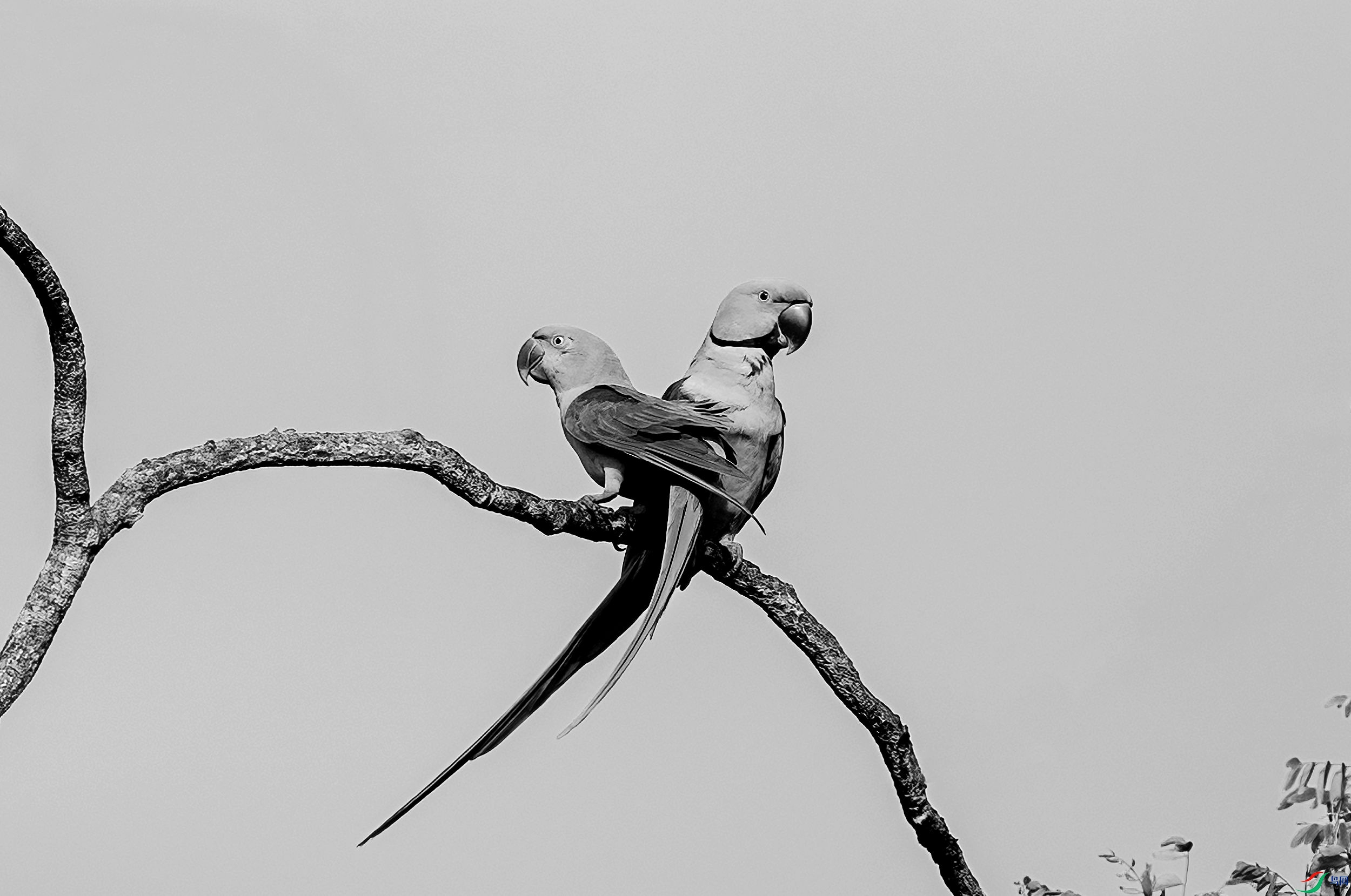 AC3I3548 ����_����.jpg