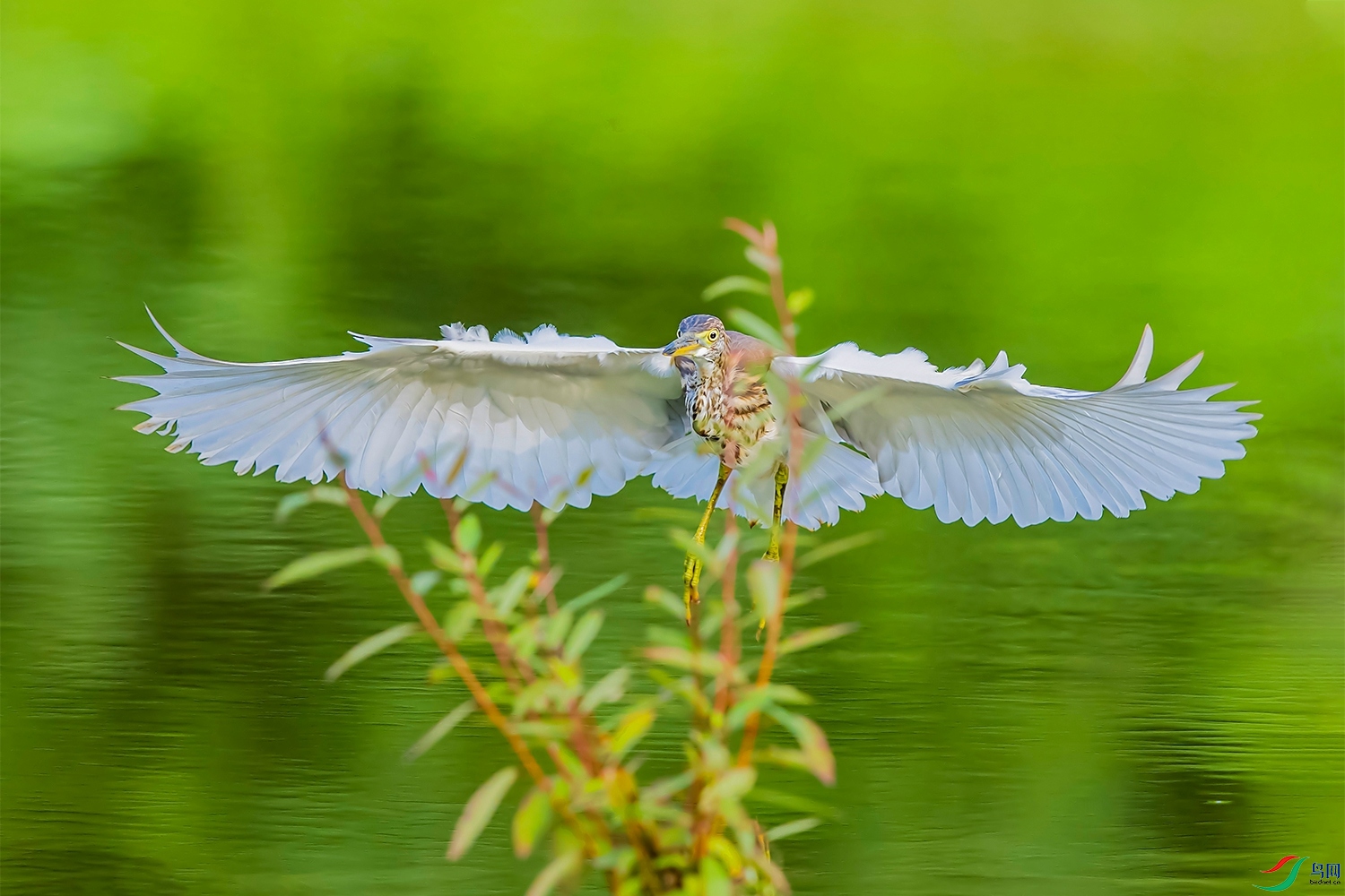 DSC_9193.jpg