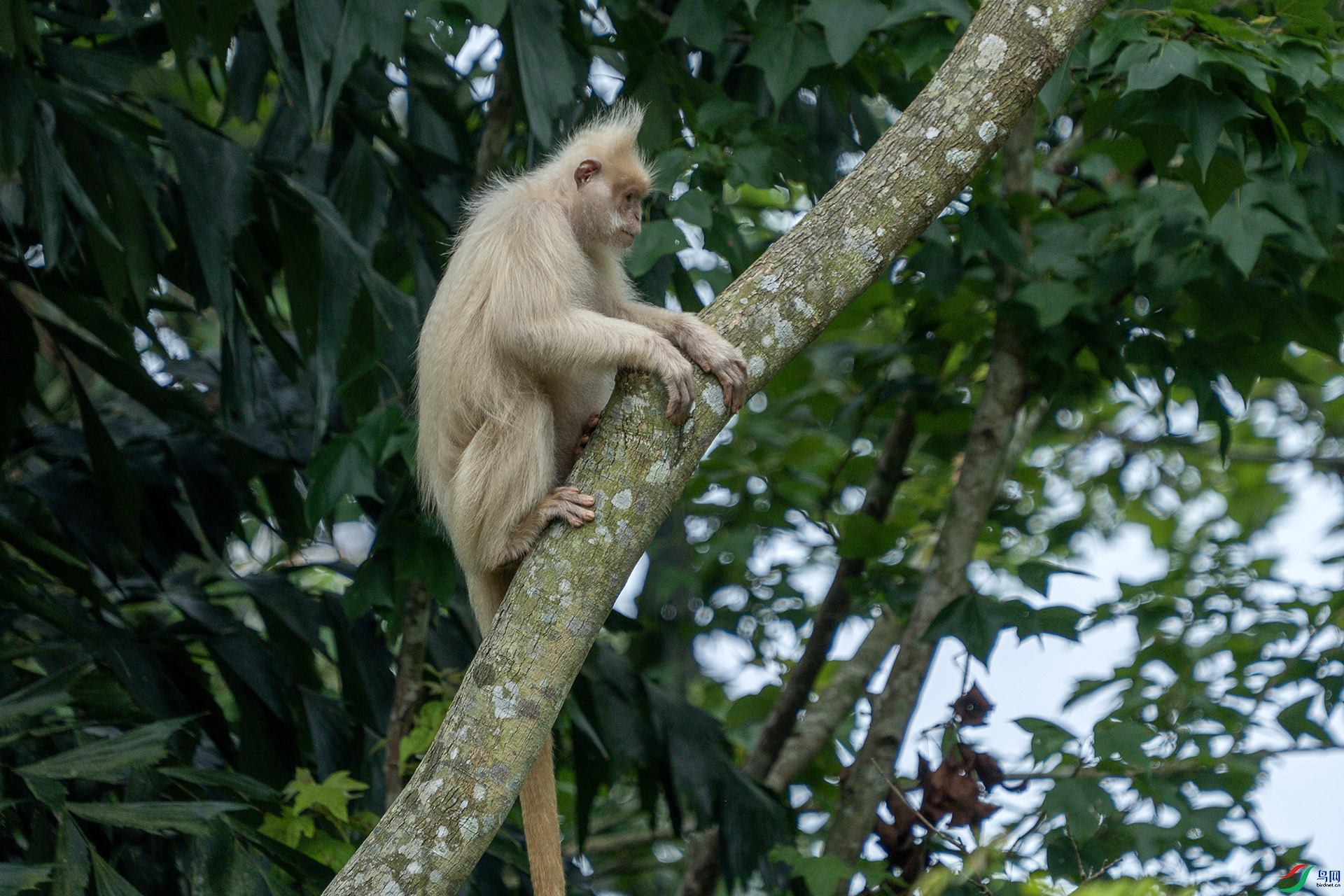 DSC00039 ����111111.jpg