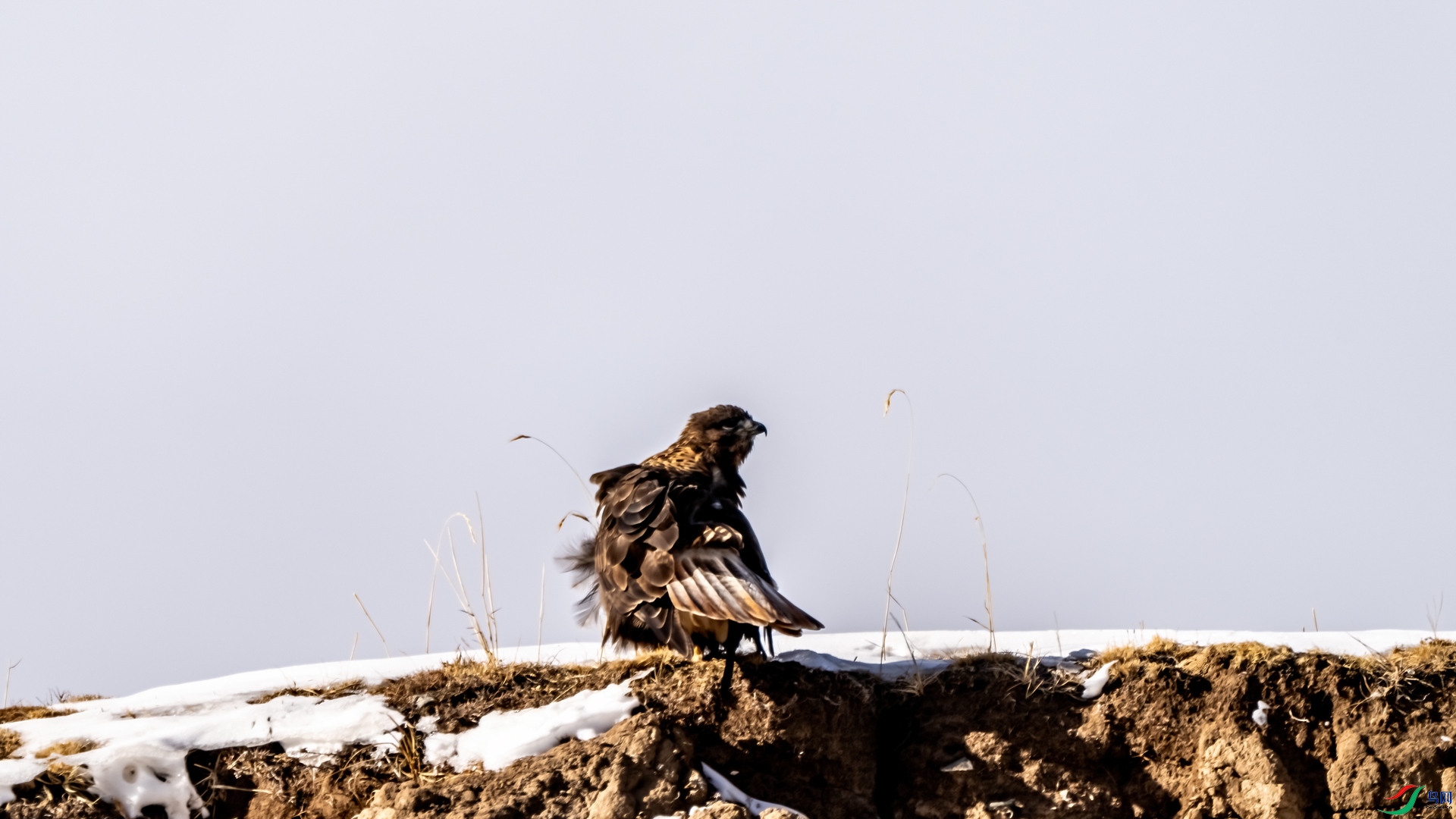 DSC03423-1.jpg