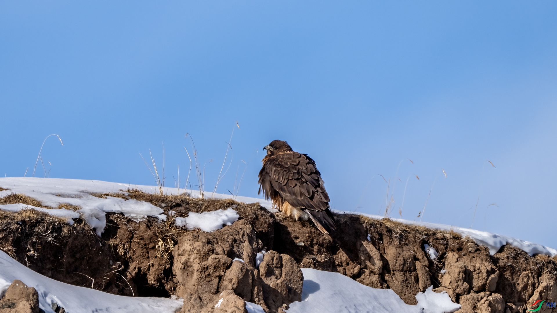 DSC03533-1.jpg