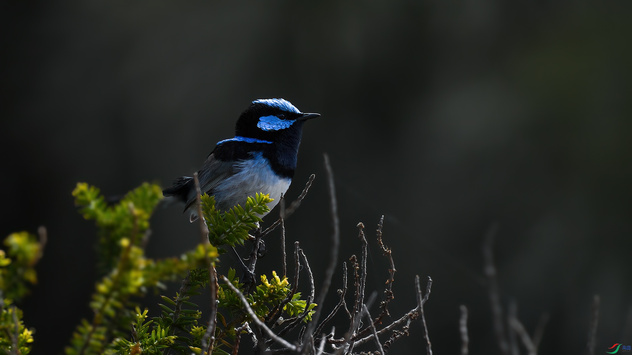 DSC_1731.jpg